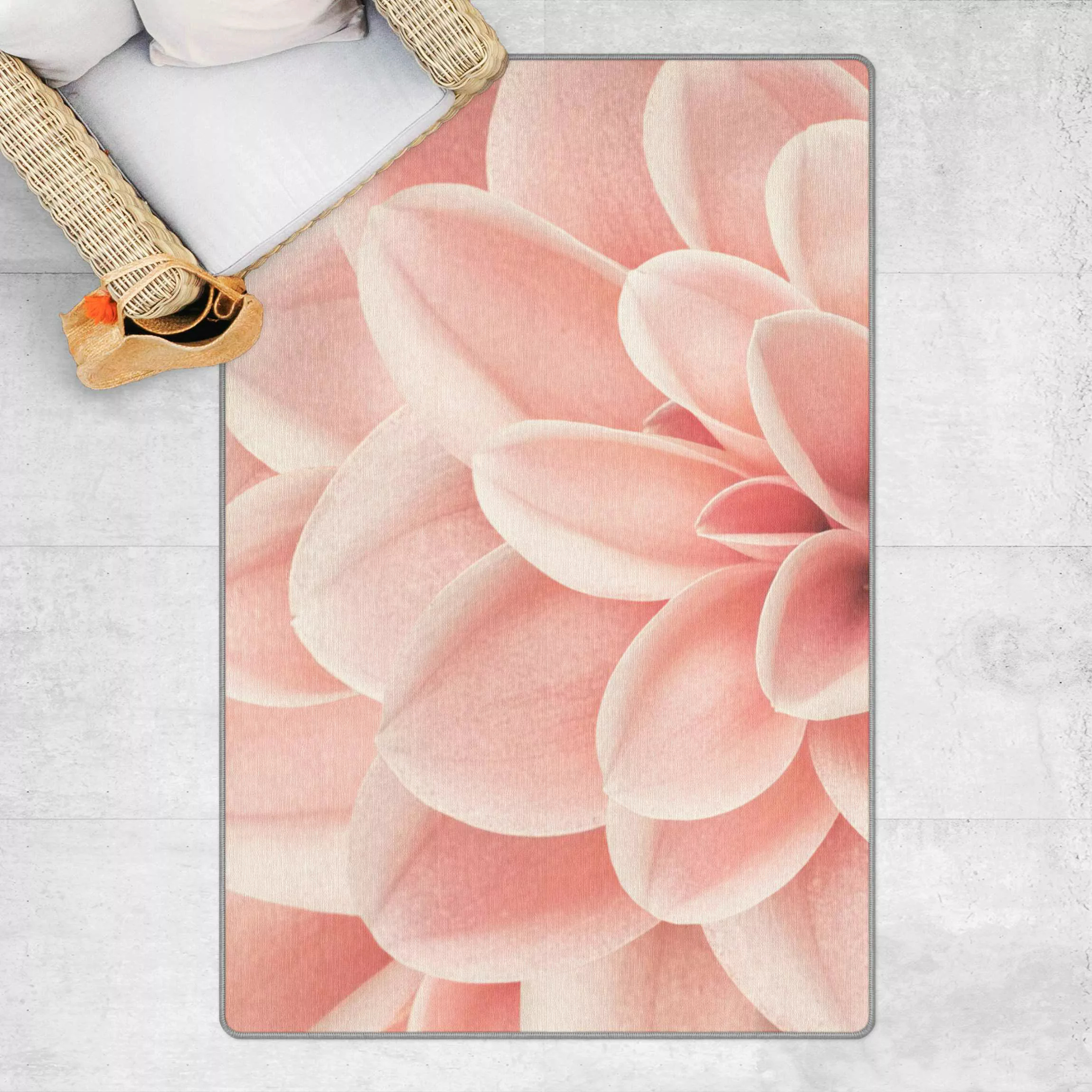 Teppich Dahlie Rosa Blütenblätter Detail günstig online kaufen