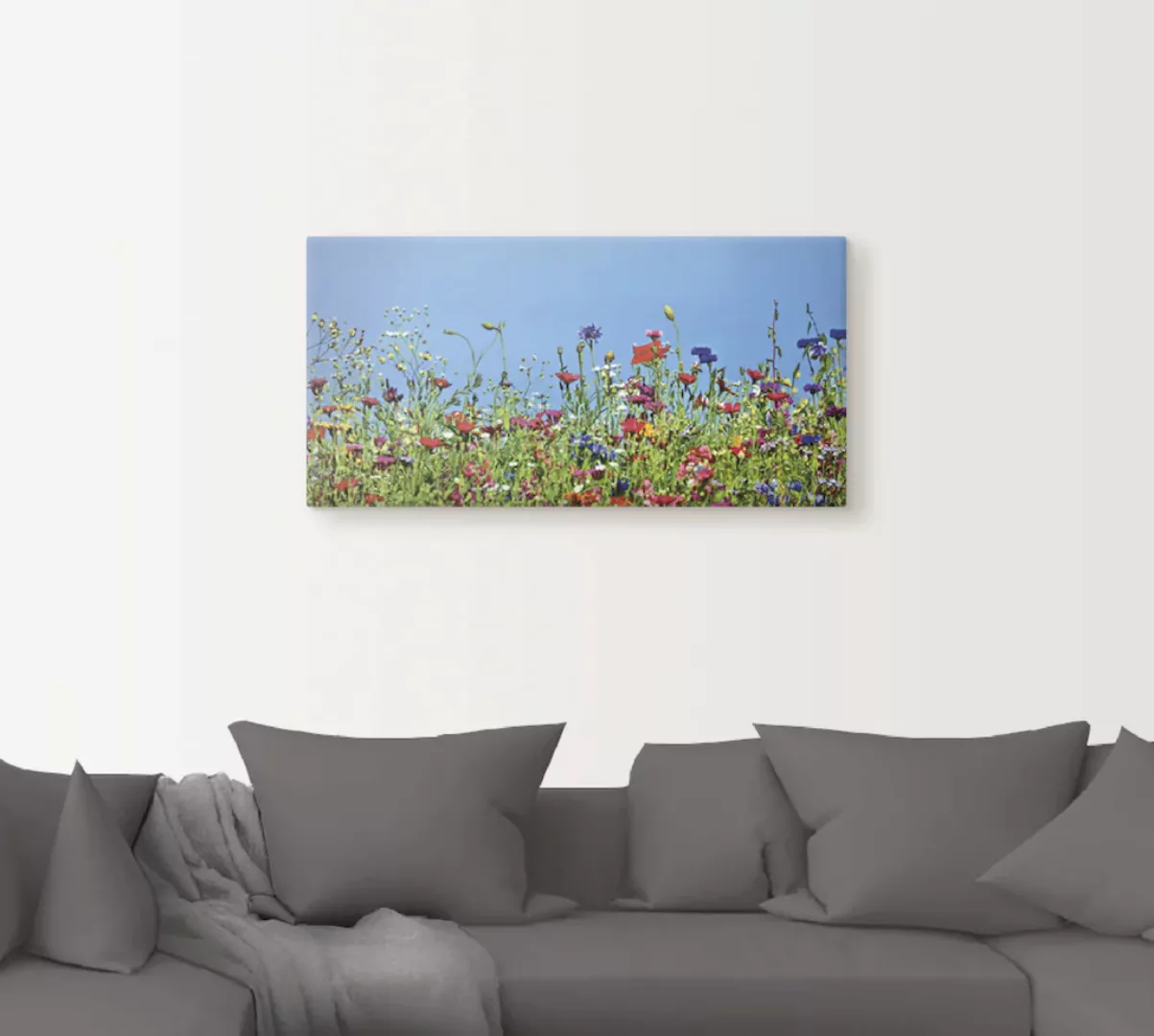 Artland Wandbild »Blumenwiese II«, Blumenwiese, (1 St.), als Leinwandbild, günstig online kaufen