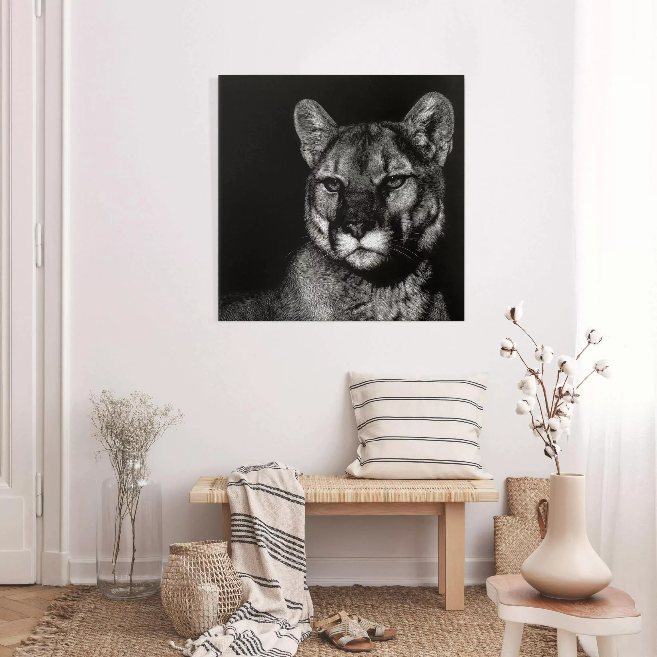 Leinwandbild Puma vor Schwarz günstig online kaufen