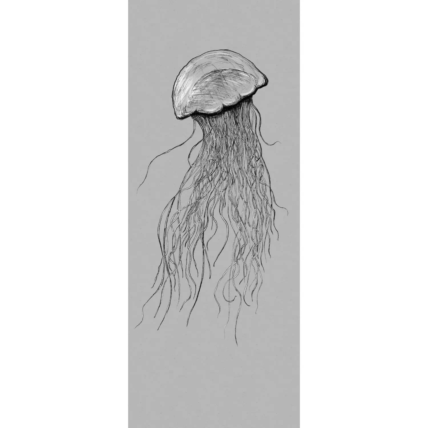 Komar Vliestapete »Jellyfish Panel«, 100x250 cm (Breite x Höhe), Vliestapet günstig online kaufen