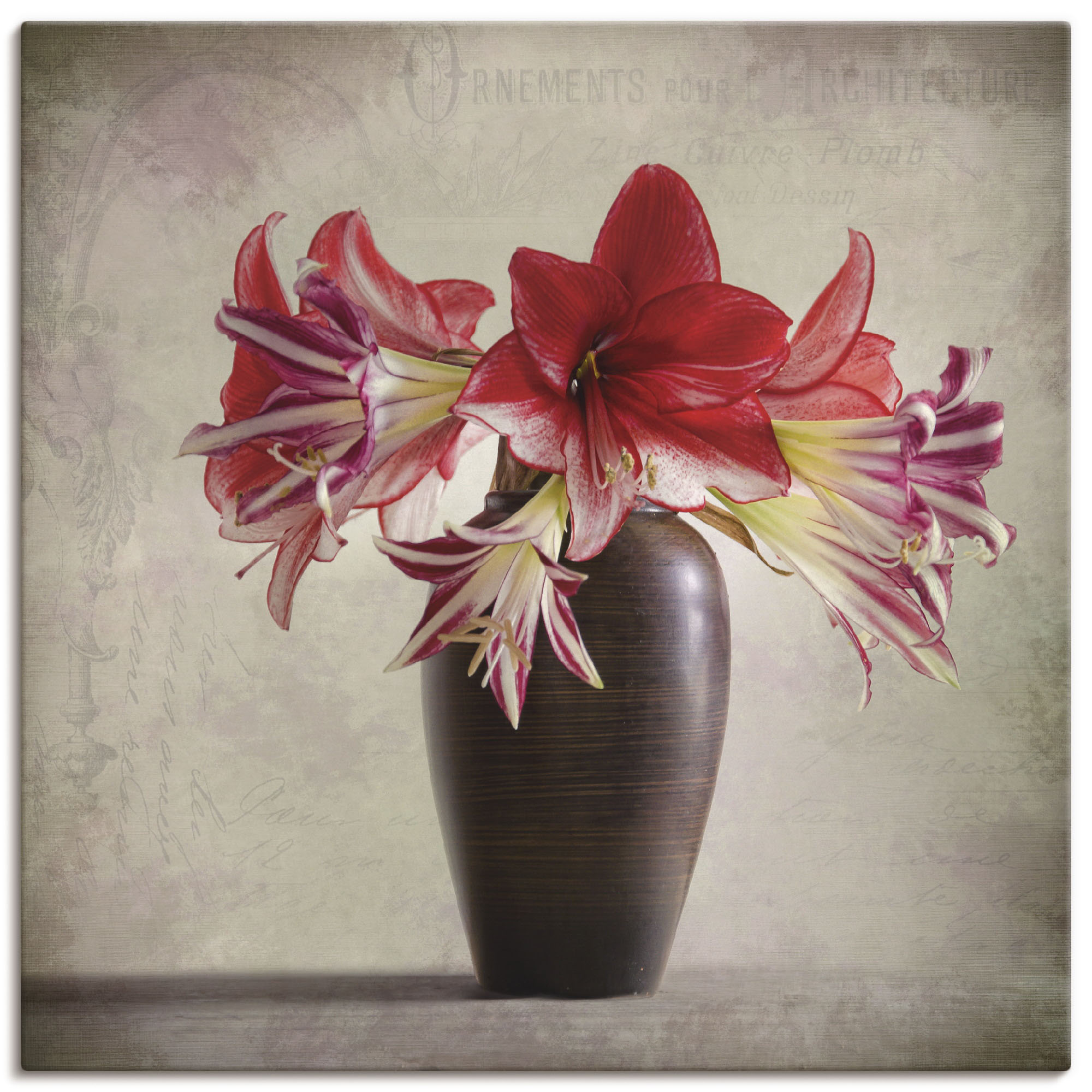 Artland Wandbild »Amaryllis Vintage II«, Blumen, (1 St.), als Alubild, Outd günstig online kaufen