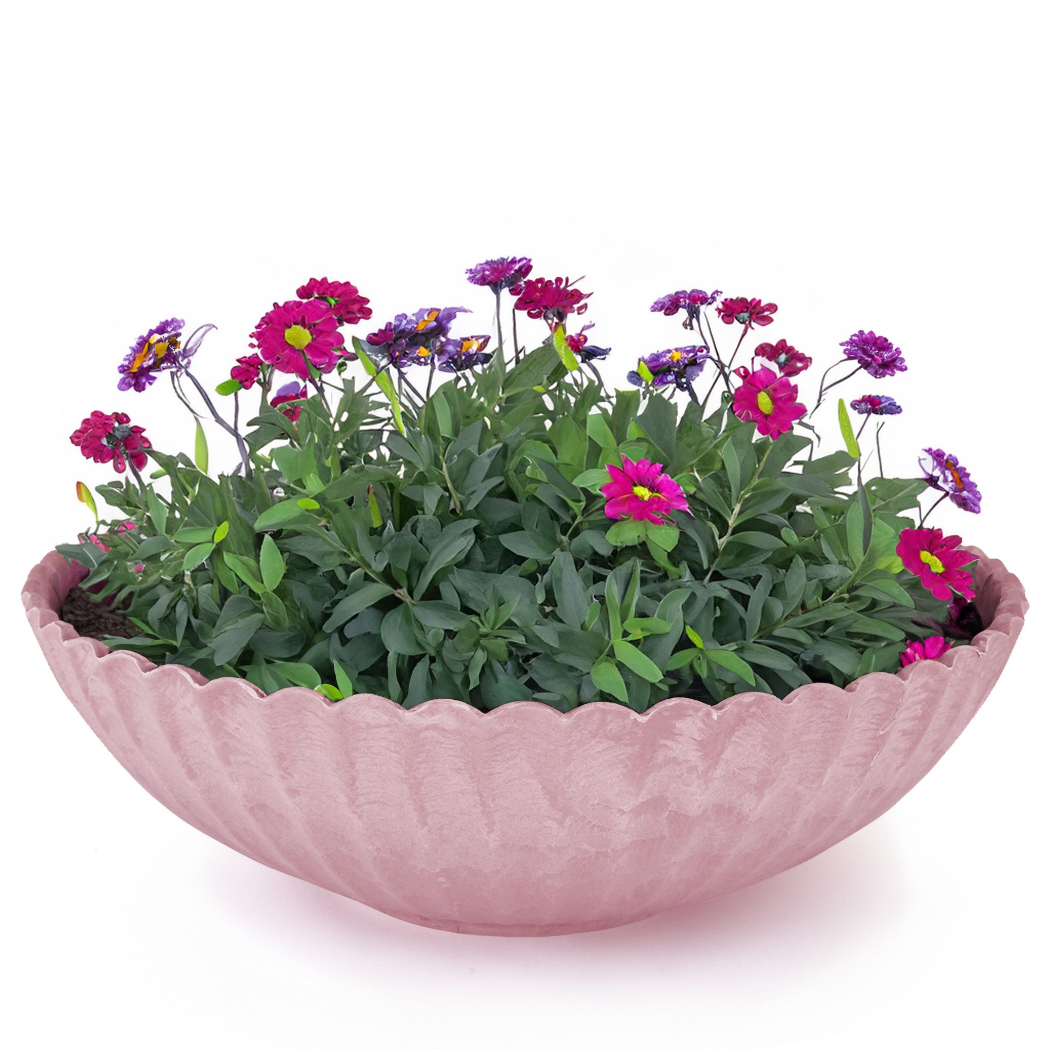 matches21 HOME & HOBBY Blumentopf Runde günstig online kaufen