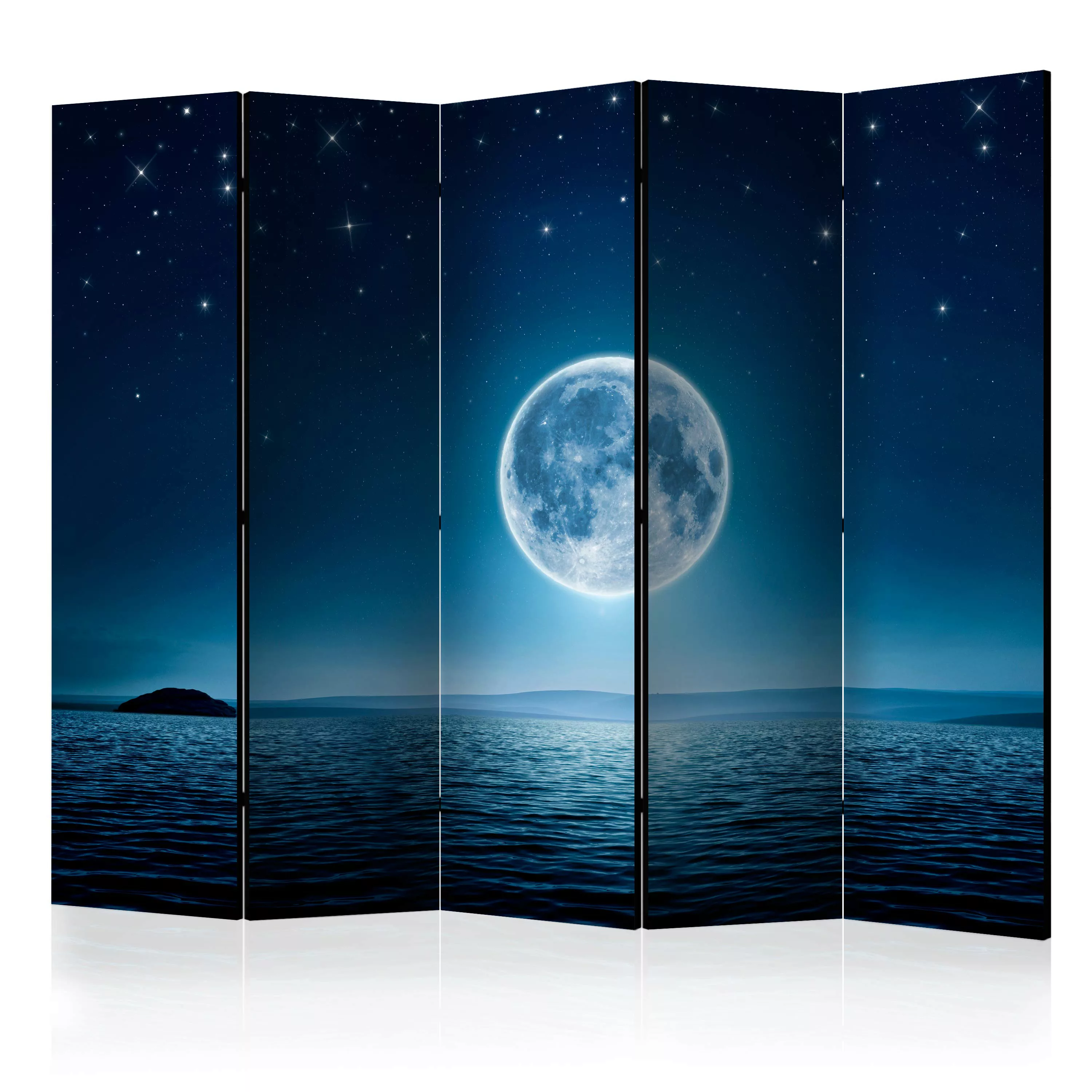 5-teiliges Paravent - Moonlit Night Ii [room Dividers] günstig online kaufen