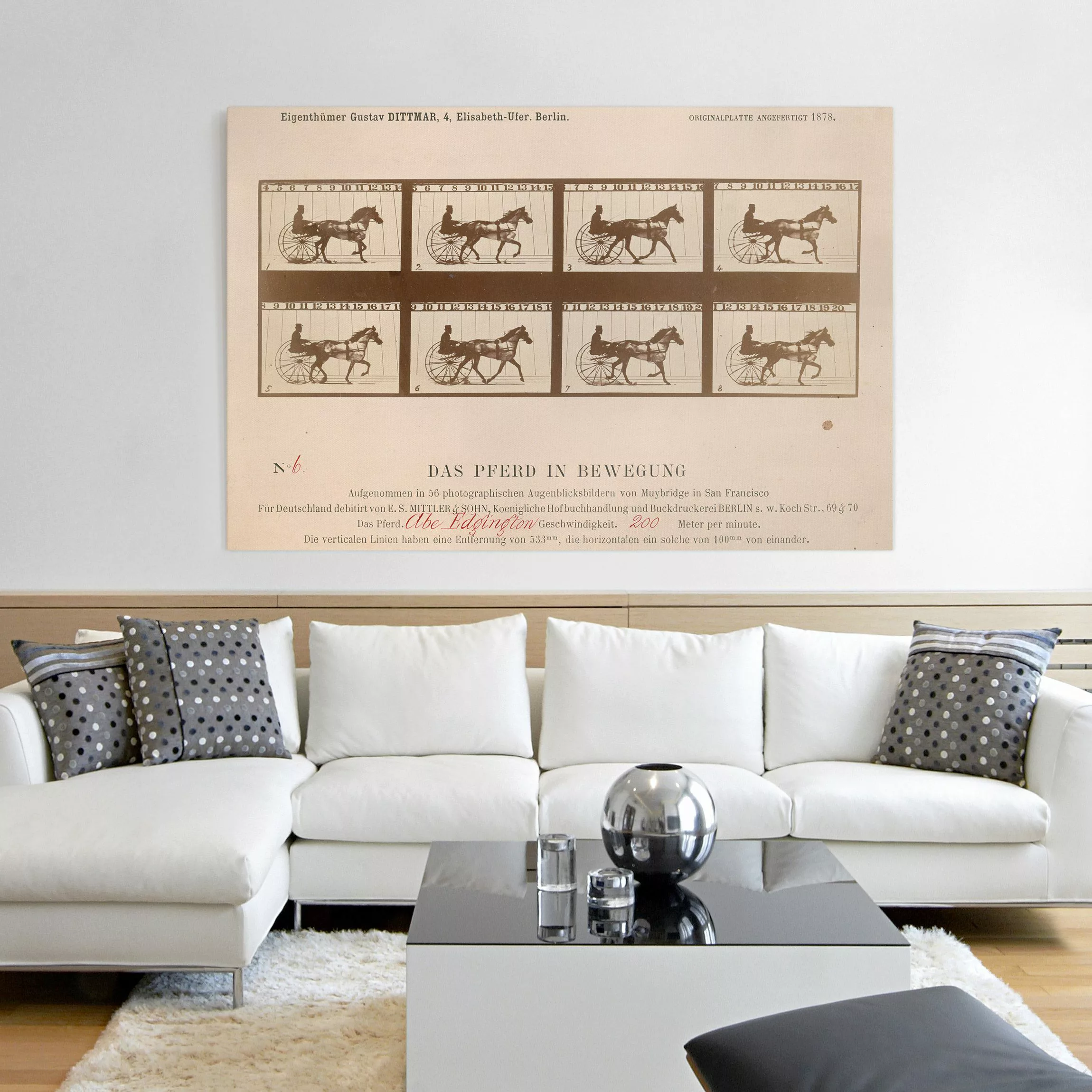 Leinwandbild Kunstdruck - Querformat Eadweard Muybridge - Das Pferd in Bewe günstig online kaufen