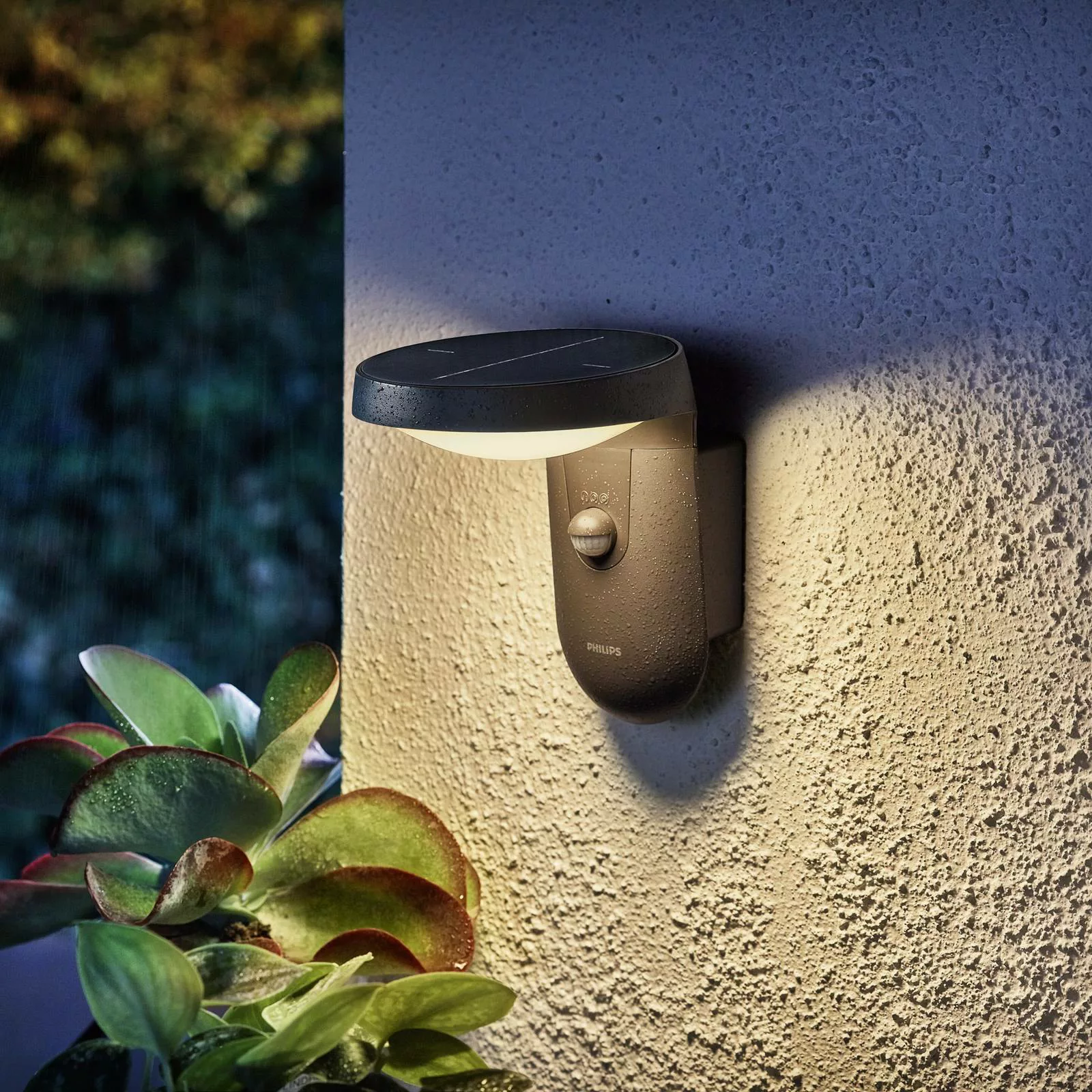 Philips Tyla Solarwandlampe IP44 Sensor 1,2W 250lm günstig online kaufen