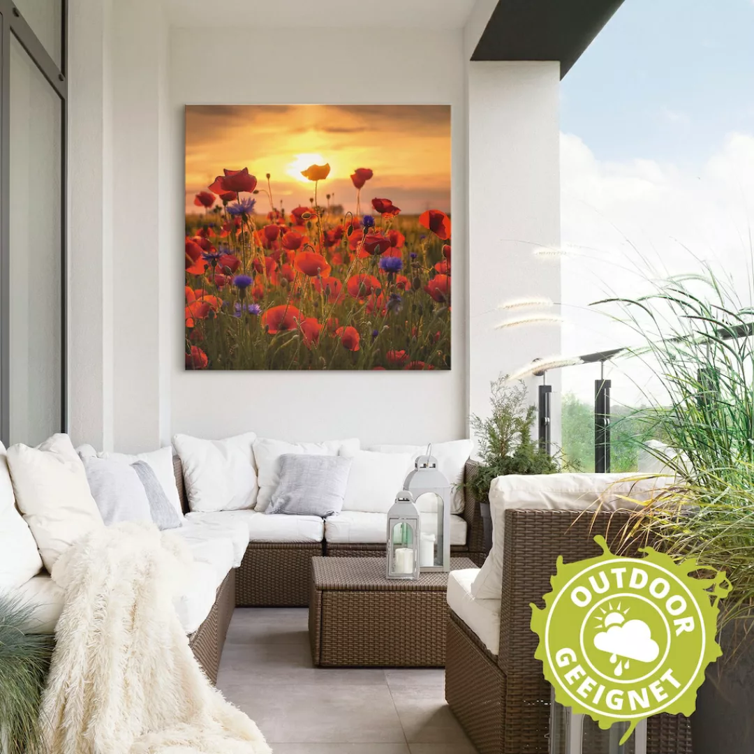 Artland Wandbild "Mohnblumen im Abendlicht", Blumen, (1 St.), als Alubild, günstig online kaufen