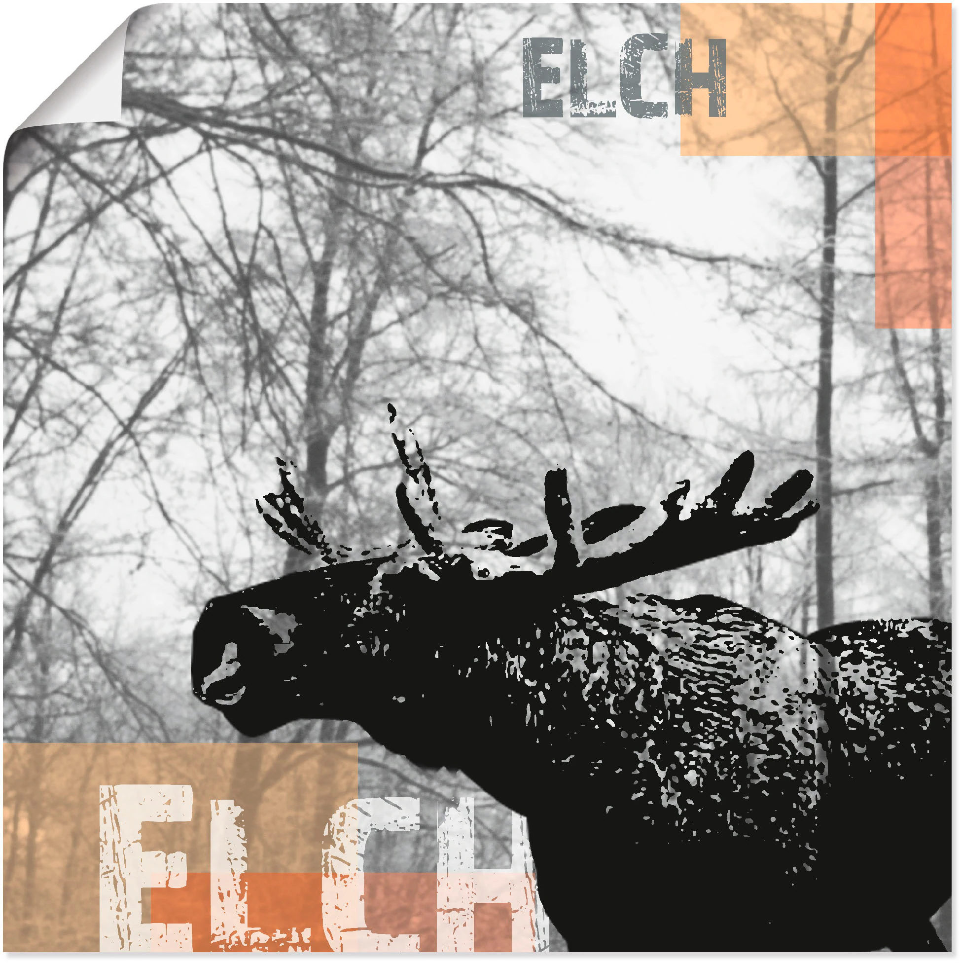 Artland Poster "Elch", Wildtiere, (1 St.), als Alubild, Leinwandbild, Wanda günstig online kaufen