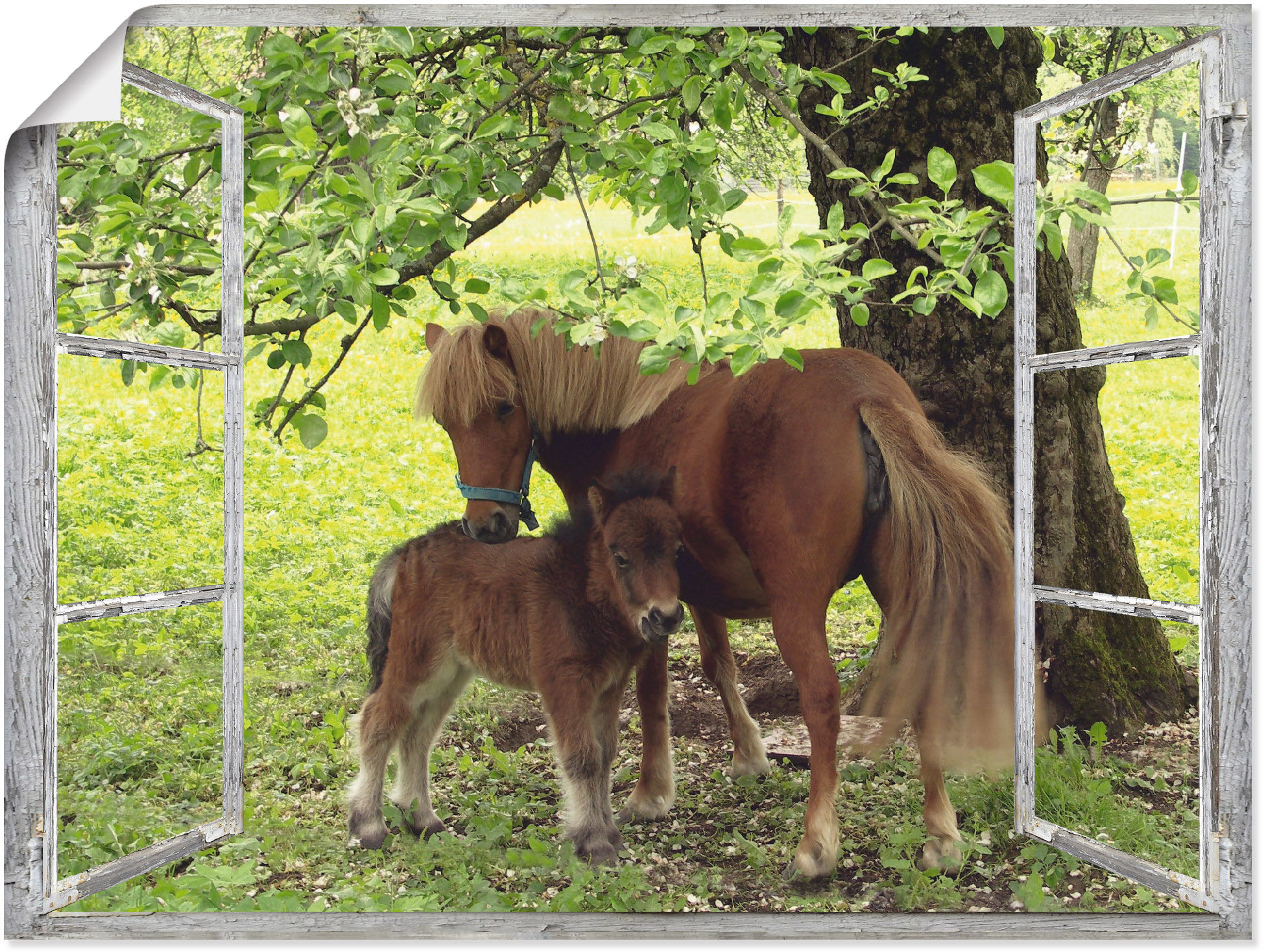 Artland Wandbild »Fensterblick - Pony mit Kind«, Haustiere, (1 St.), als Le günstig online kaufen