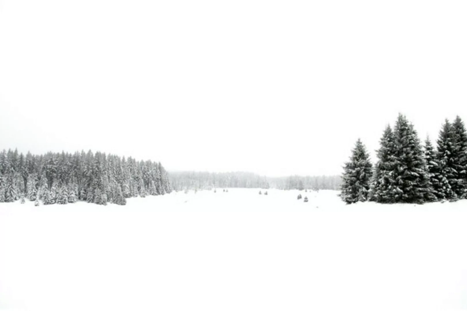 Poster / Leinwandbild - White White Winter günstig online kaufen
