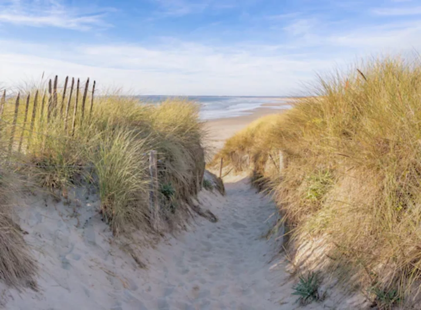 Papermoon Fototapete »Dunes in Bretagne« günstig online kaufen