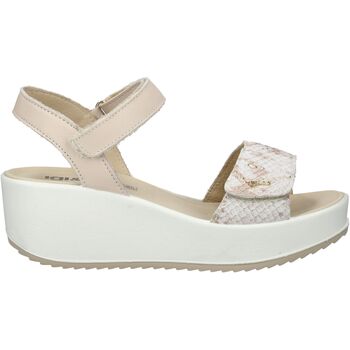 IGI & CO IGI & CO günstig online kaufen