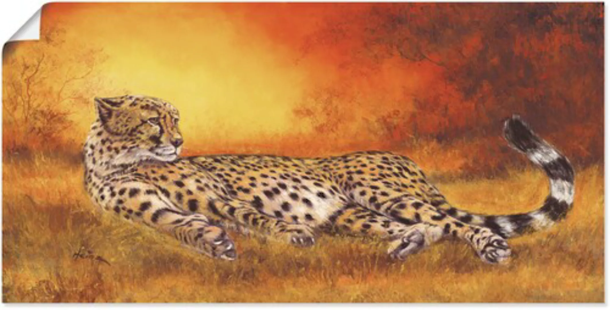 Artland Wandbild "Gepard", Geparden Bilder, (1 St.), als Alubild, Outdoorbi günstig online kaufen