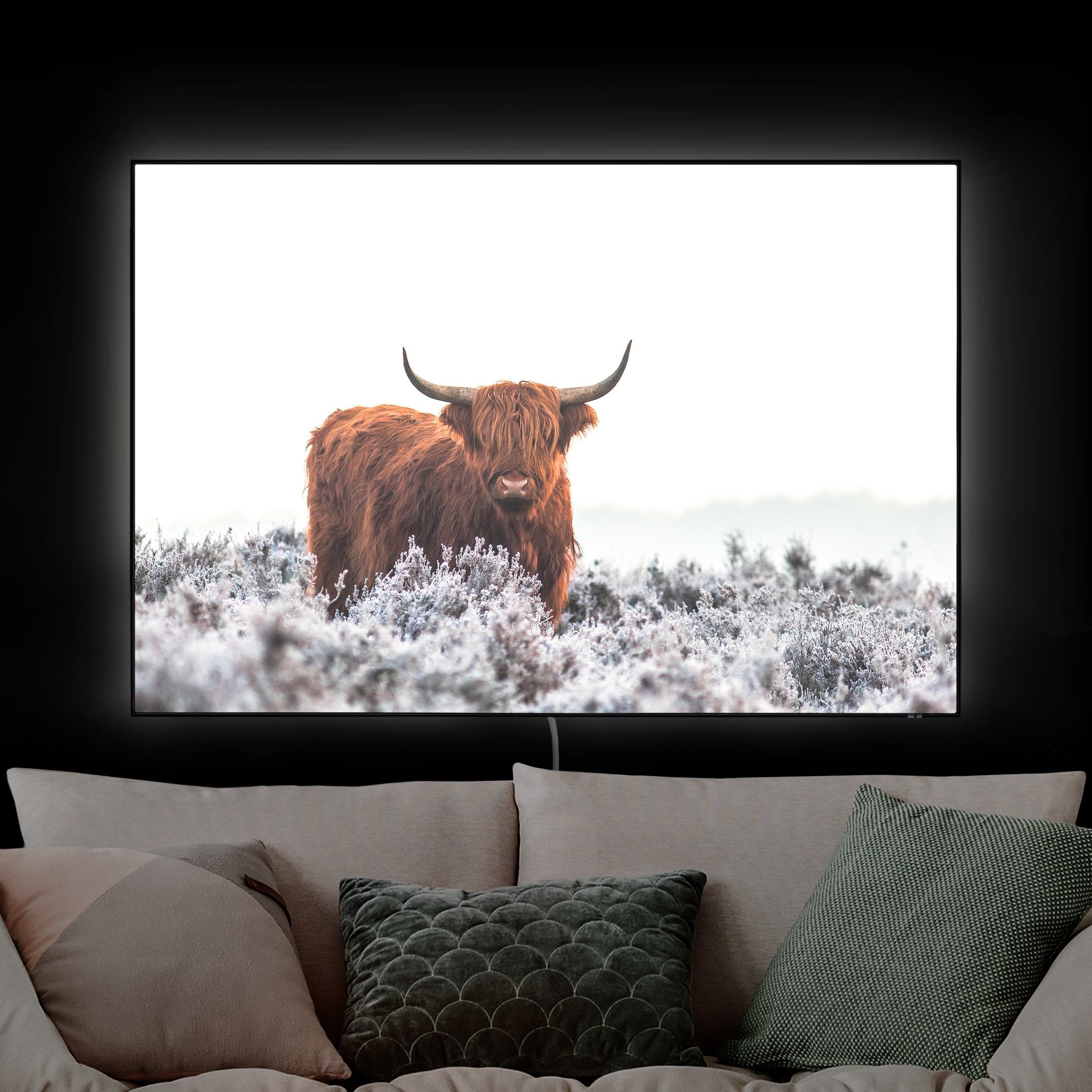 LED-Wechselbild Bison in den Highlands günstig online kaufen