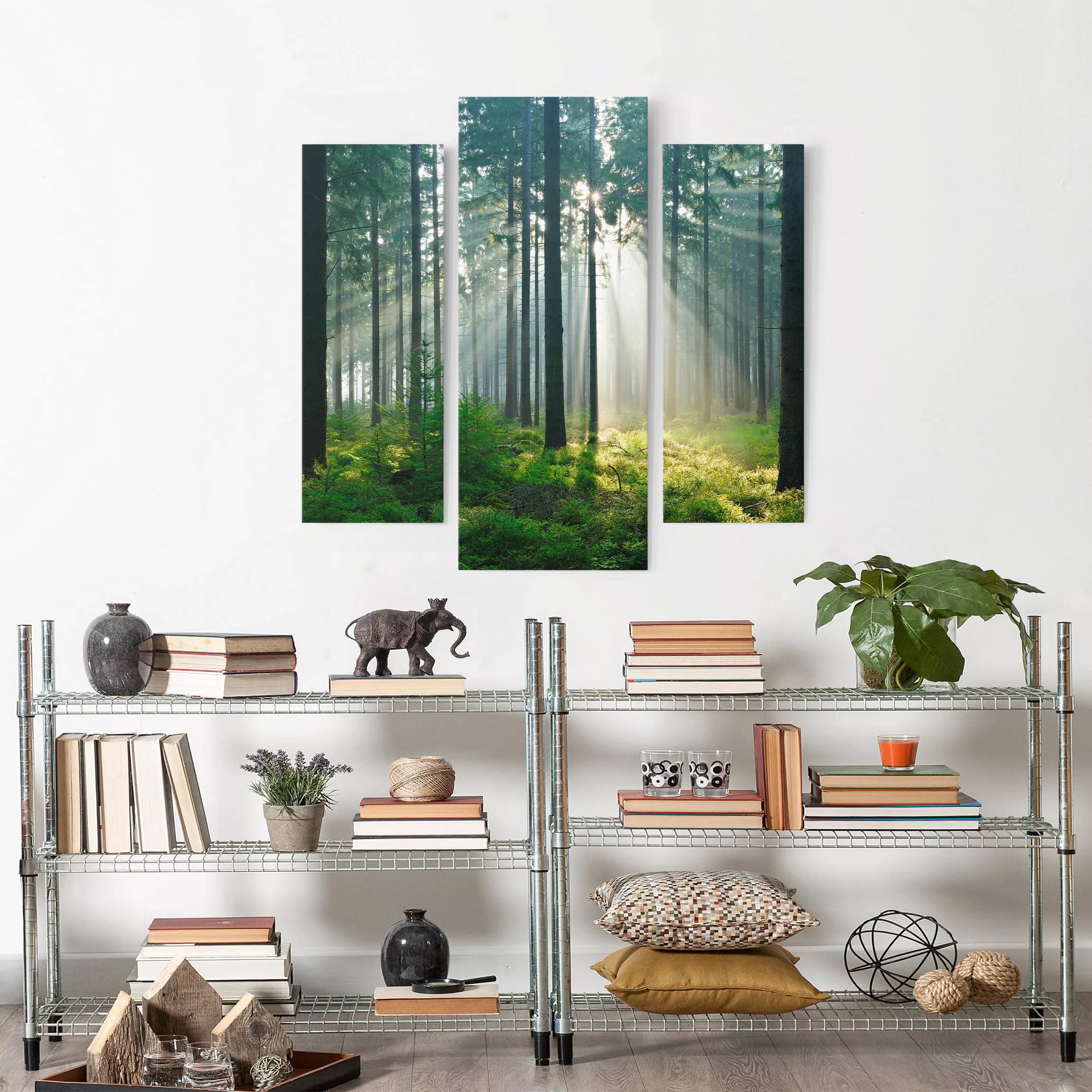 3-teiliges Leinwandbild Wald - Querformat Enlightened Forest günstig online kaufen