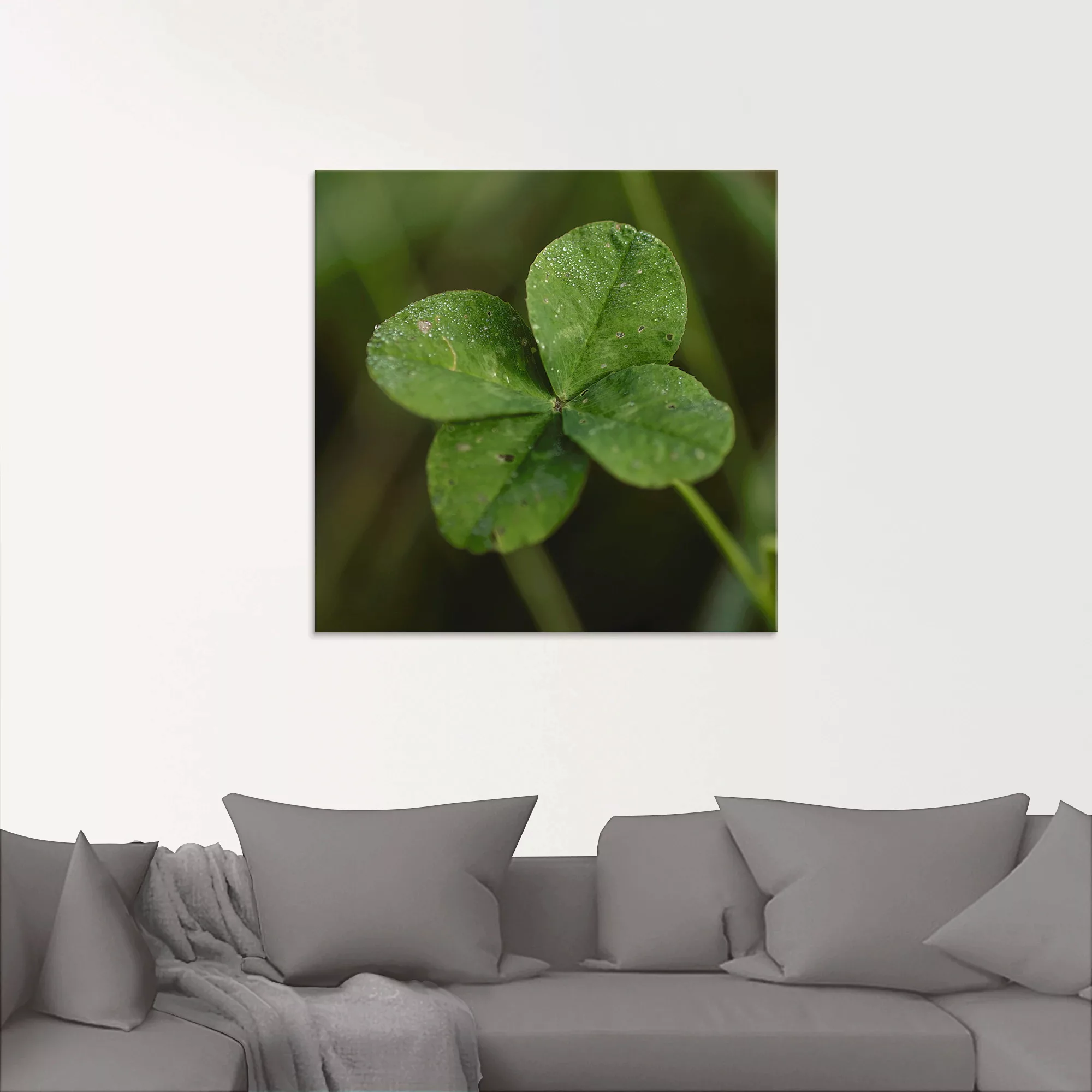 Artland Glasbild "Kleeblatt", Blätter, (1 St.), in verschiedenen Größen günstig online kaufen