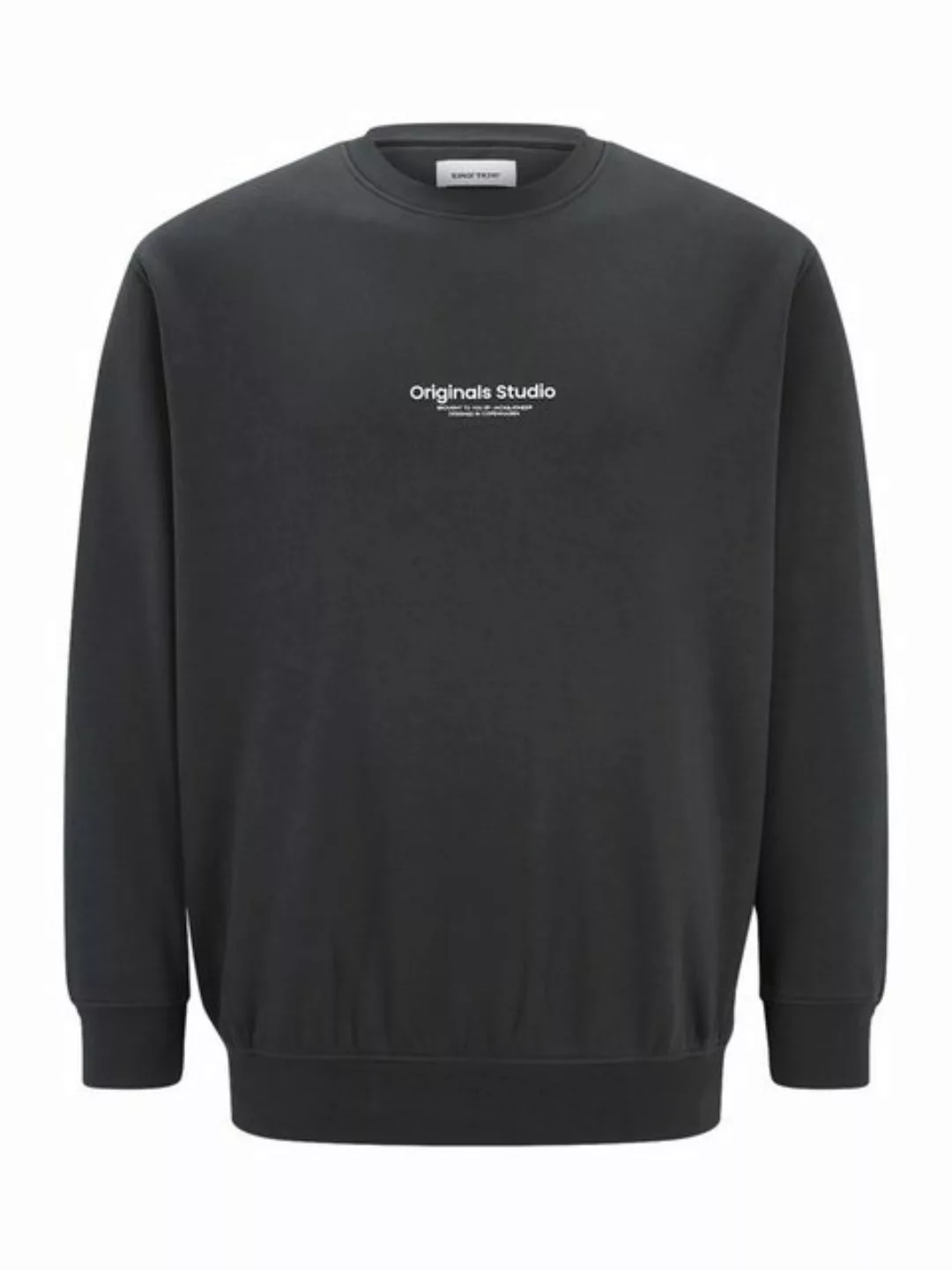 Jack & Jones Plus Sweatshirt JORVESTERBRO (1-tlg) günstig online kaufen