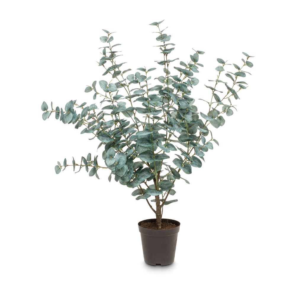 Künstliche Eucalyptus Pflanze, Höhe 90 cm günstig online kaufen