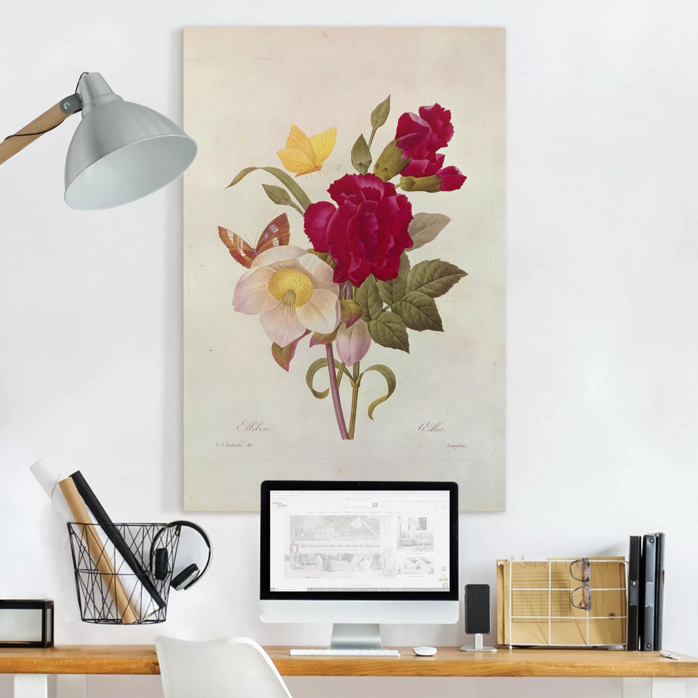 Leinwandbild Blumen - Hochformat Pierre Joseph Redouté - Christrosen günstig online kaufen
