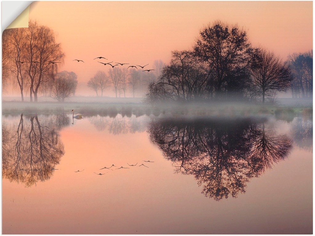 Artland Wandbild "Früh morgens am See....", Gewässer, (1 St.), als Leinwand günstig online kaufen