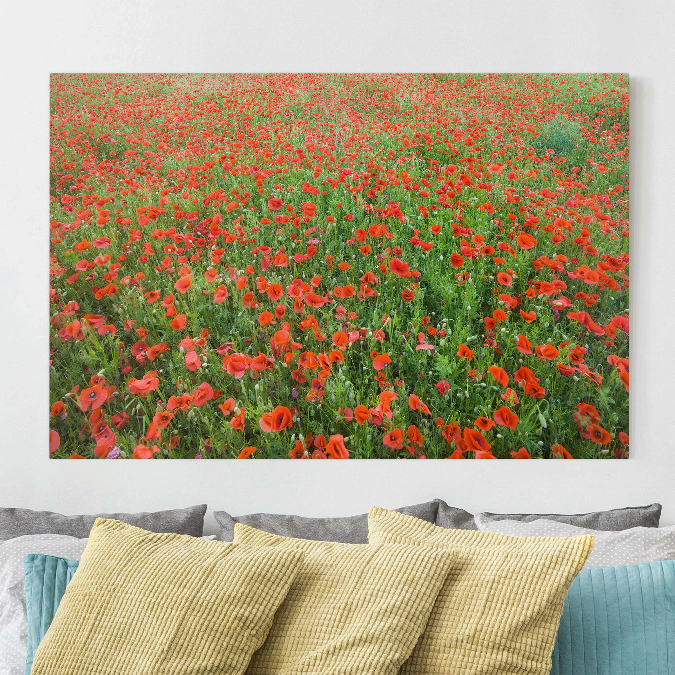 Leinwandbild Blumen - Querformat Mohnblumenfeld günstig online kaufen