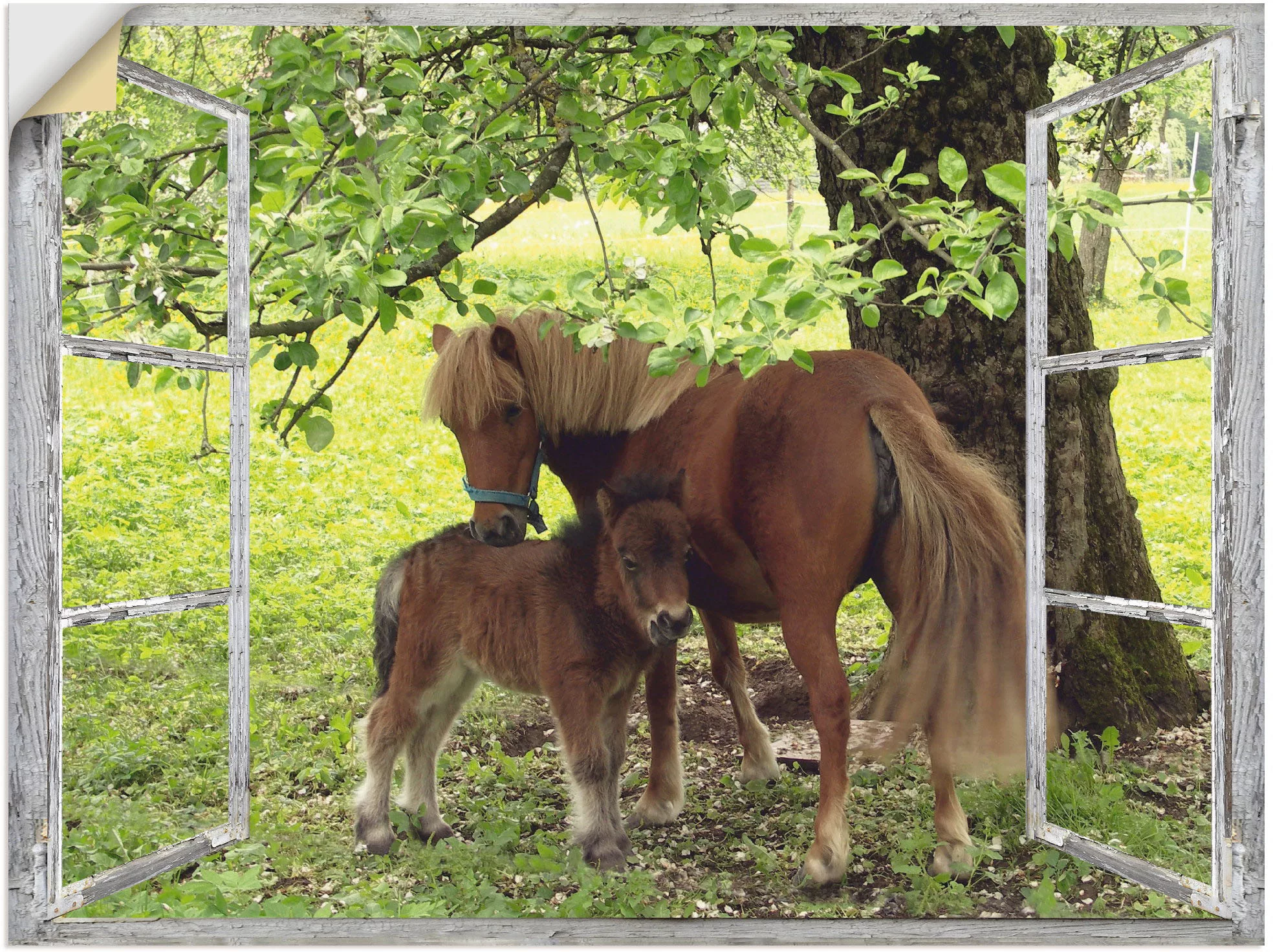 Artland Wandbild "Fensterblick - Pony mit Kind", Haustiere, (1 St.), als Le günstig online kaufen