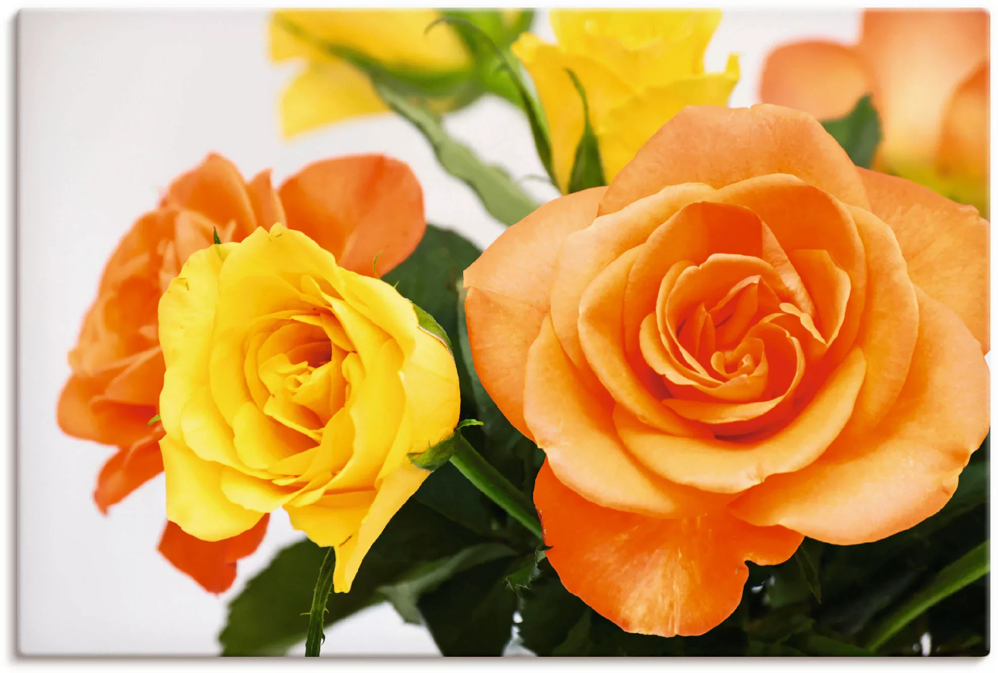 Artland Leinwandbild "Rosenstrauß", Blumen, (1 St.), auf Keilrahmen gespann günstig online kaufen