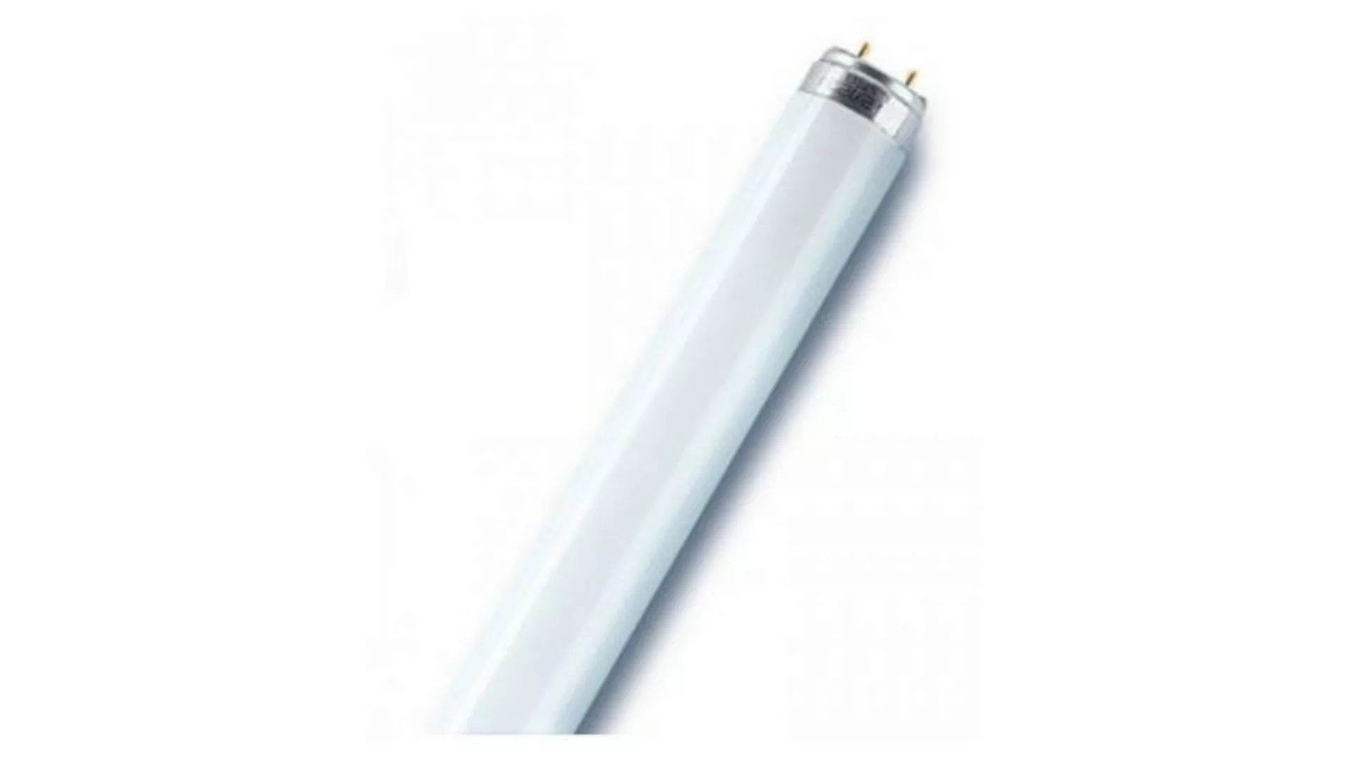 Osram T8-Leuchtstofflampe L 58W/865 günstig online kaufen