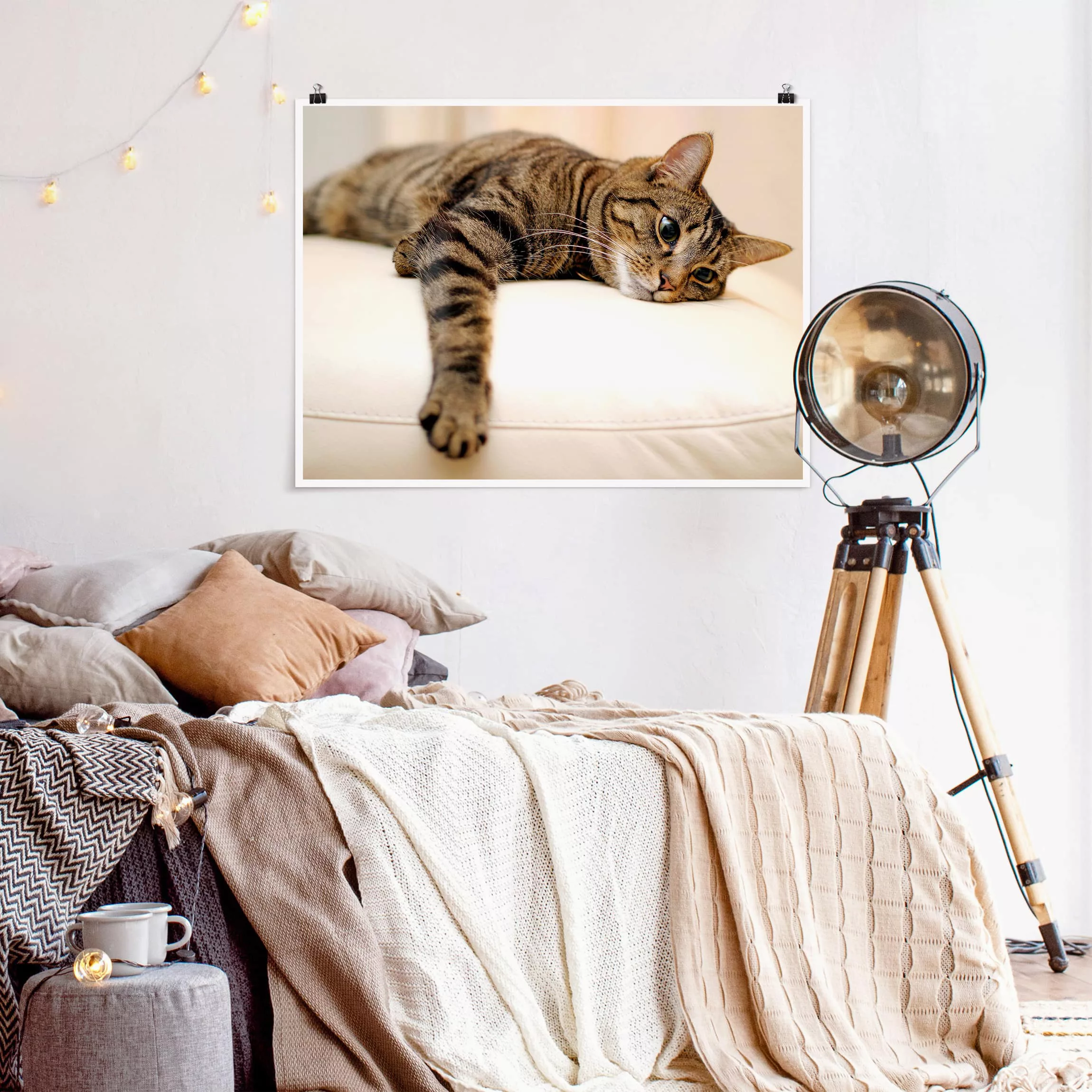 Poster Tiere - Querformat Cat Chill Out günstig online kaufen