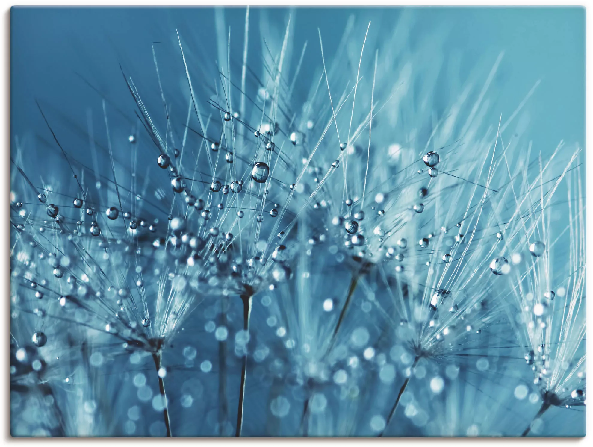 Artland Wandbild "Blaue glitzernde Pusteblume", Blumen, (1 St.) günstig online kaufen