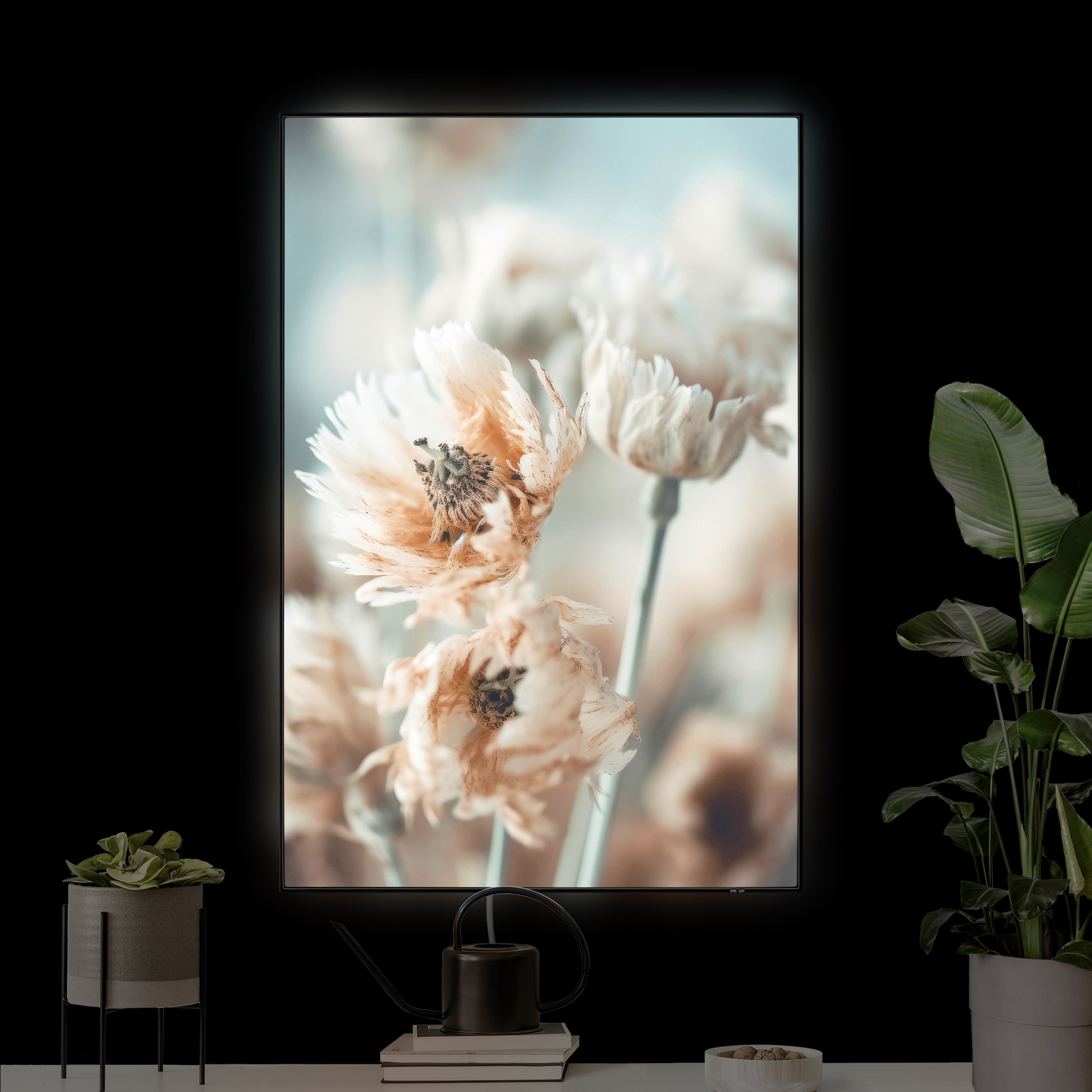 LED-Wechselbild Blumen Nahaufnahme günstig online kaufen