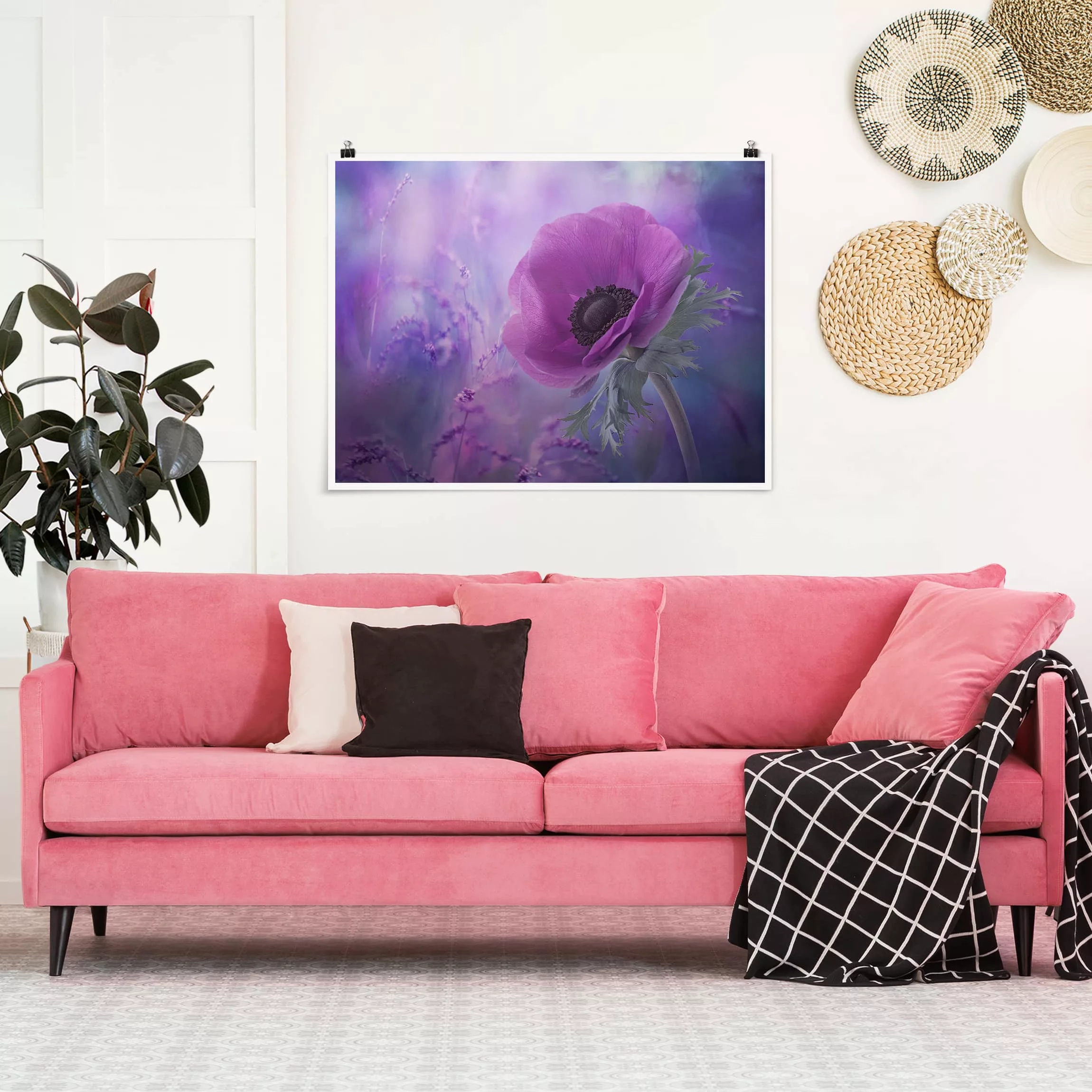 Poster Blumen - Querformat Anemonenblüte in Violett günstig online kaufen