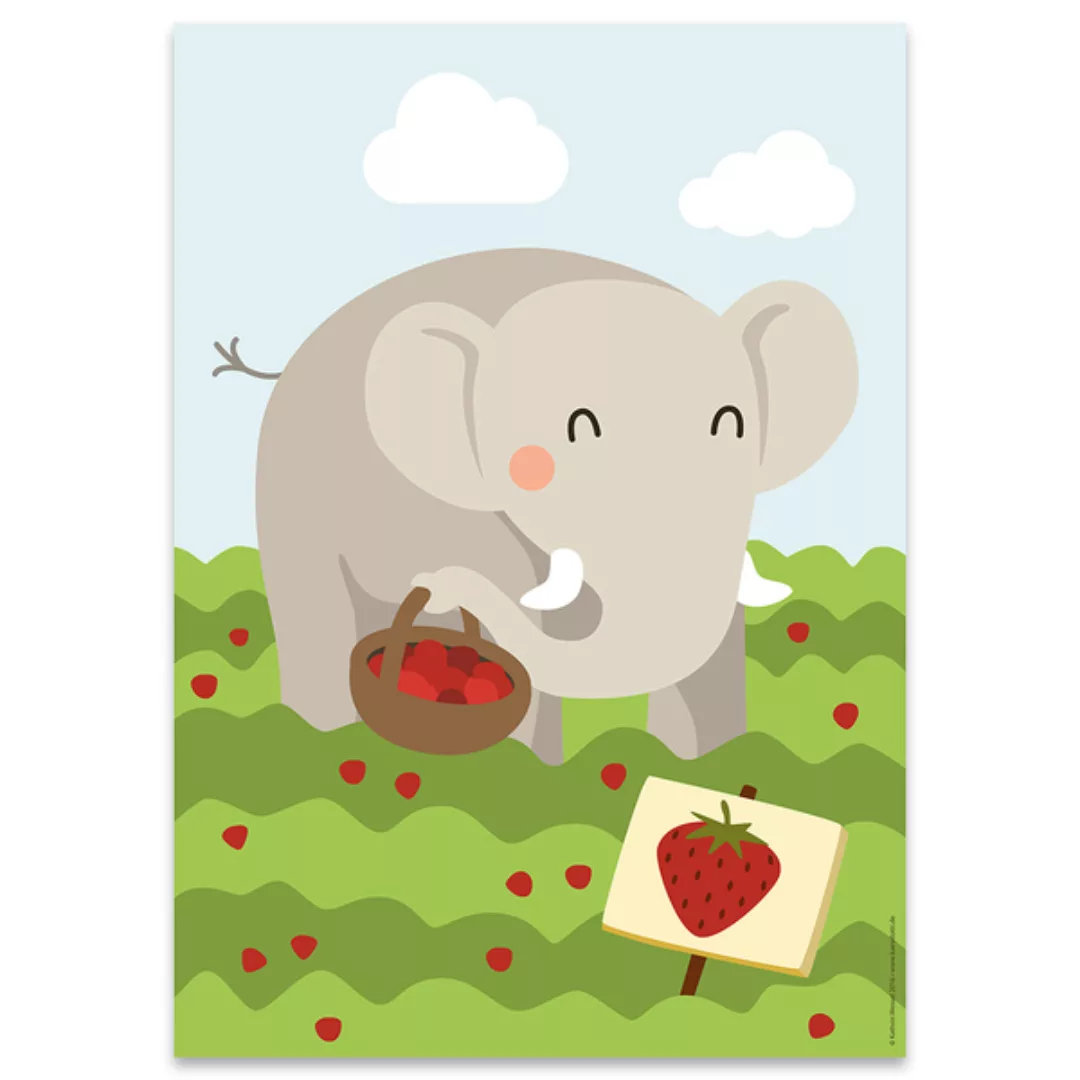 Din A4 Poster Elefant günstig online kaufen
