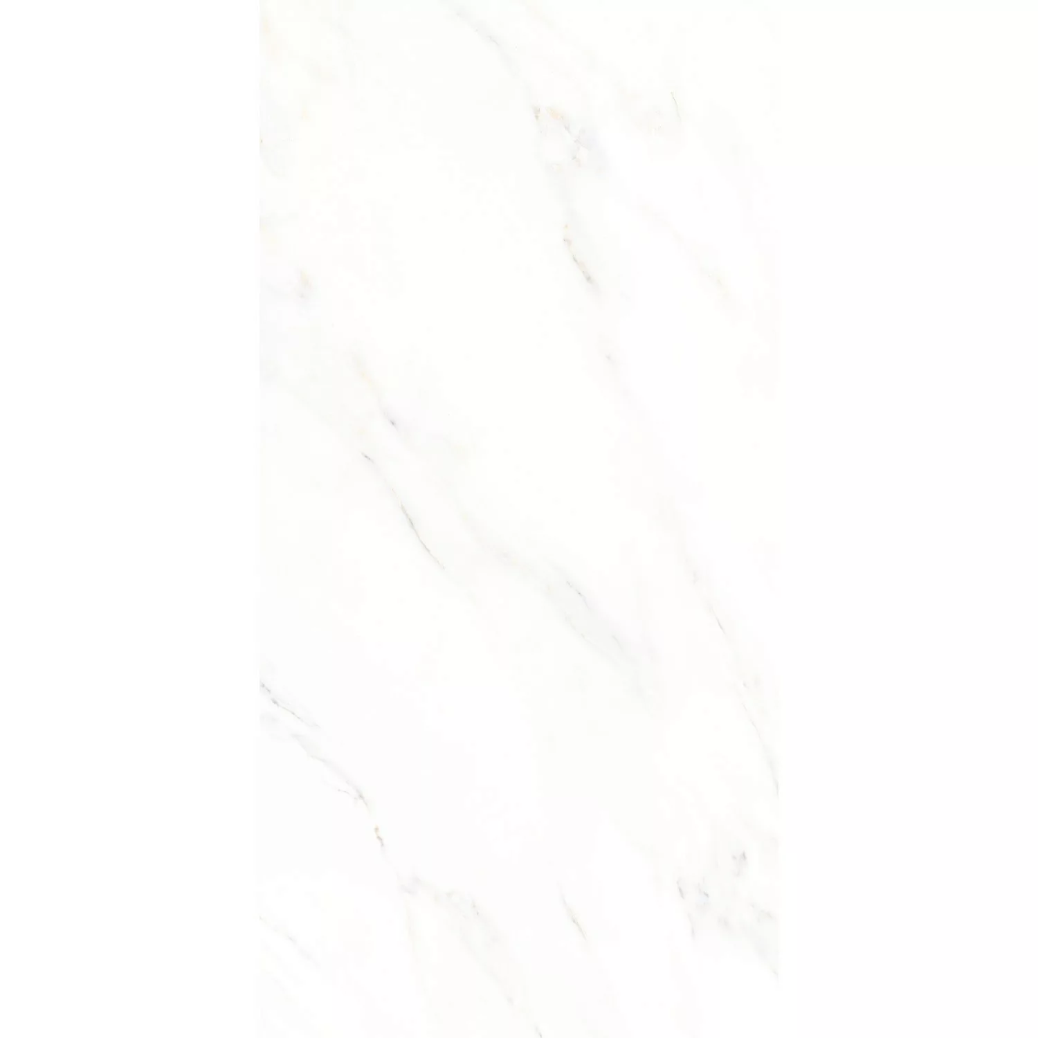 Bodenfliese Calacatta Feinsteinzeug Marmor-Optik 30 cm x 60 cm günstig online kaufen