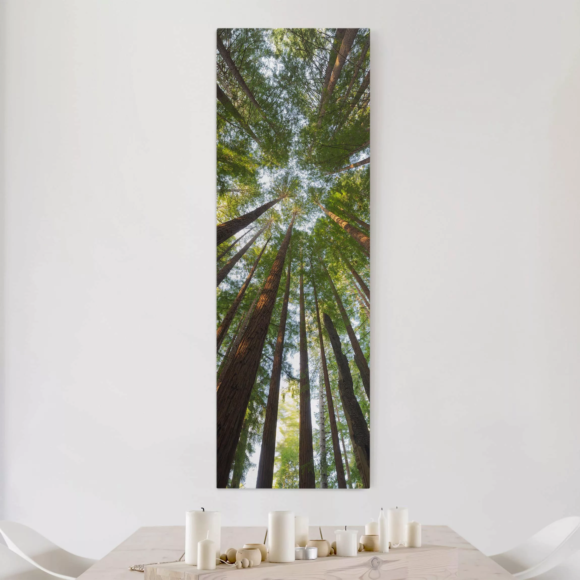 Leinwandbild Wald - Hochformat Mammutbaum Baumkronen günstig online kaufen