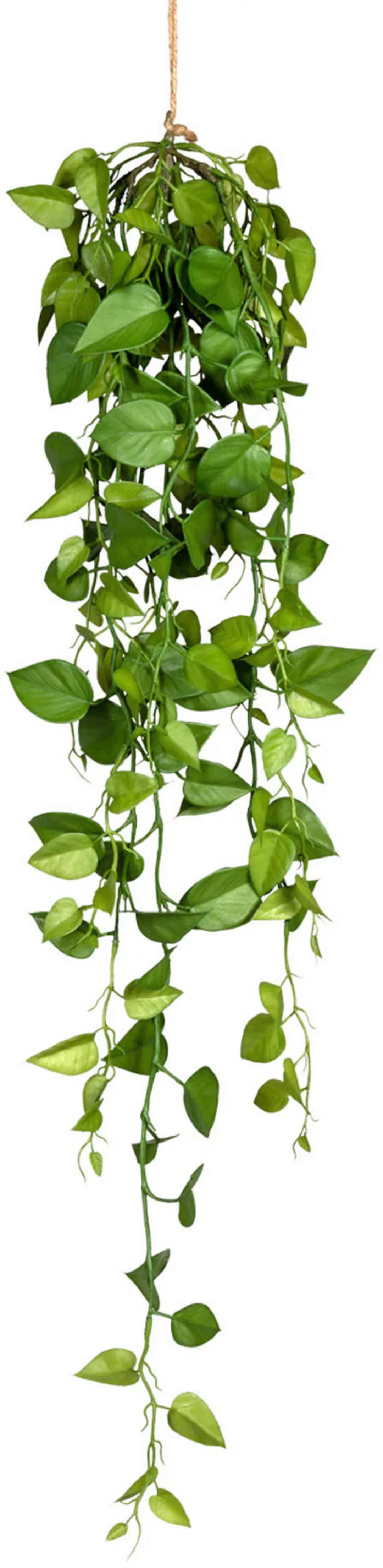 Creativ green Kunstranke "Philodendron-Hängezopf" günstig online kaufen