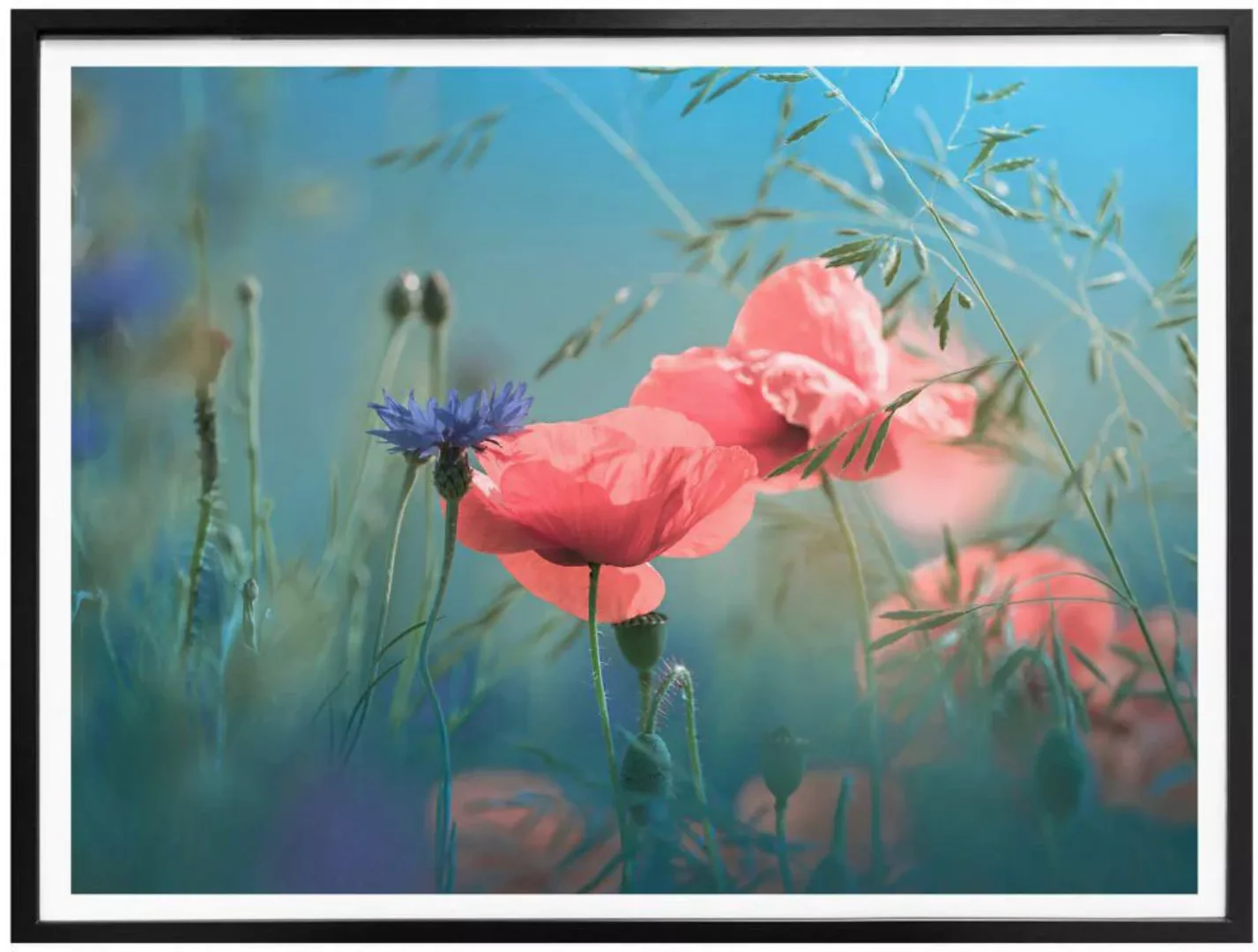 Wall-Art Poster »Wildblumen Aquamarin«, Blumen, (Set, 1 St.) günstig online kaufen