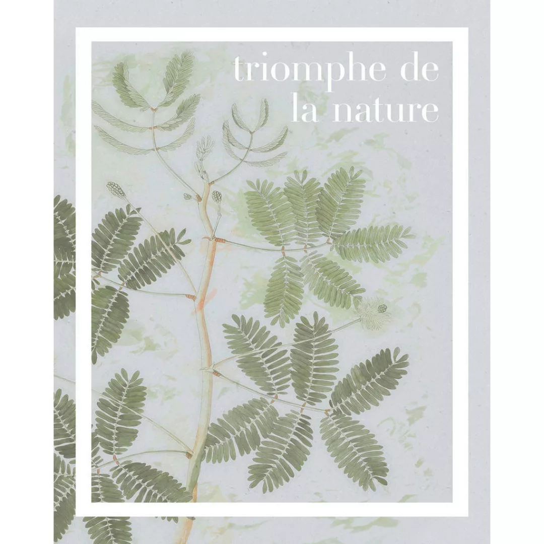 Komar Wandbild Triomphe de la nature Spruch B/L: ca. 40x50 cm günstig online kaufen