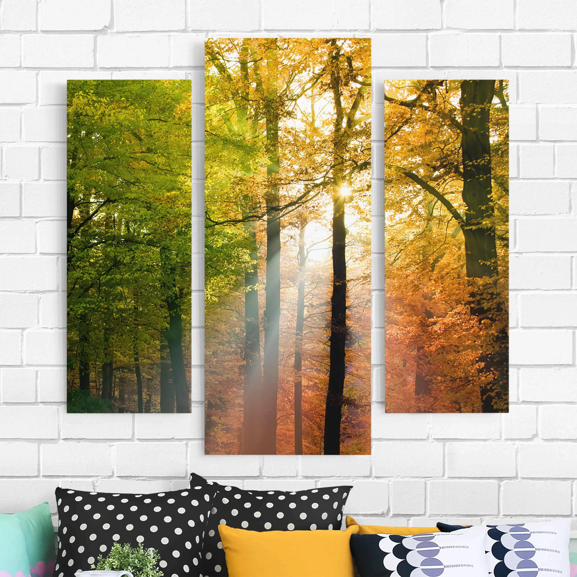 3-teiliges Leinwandbild Wald - Querformat Morning Light günstig online kaufen