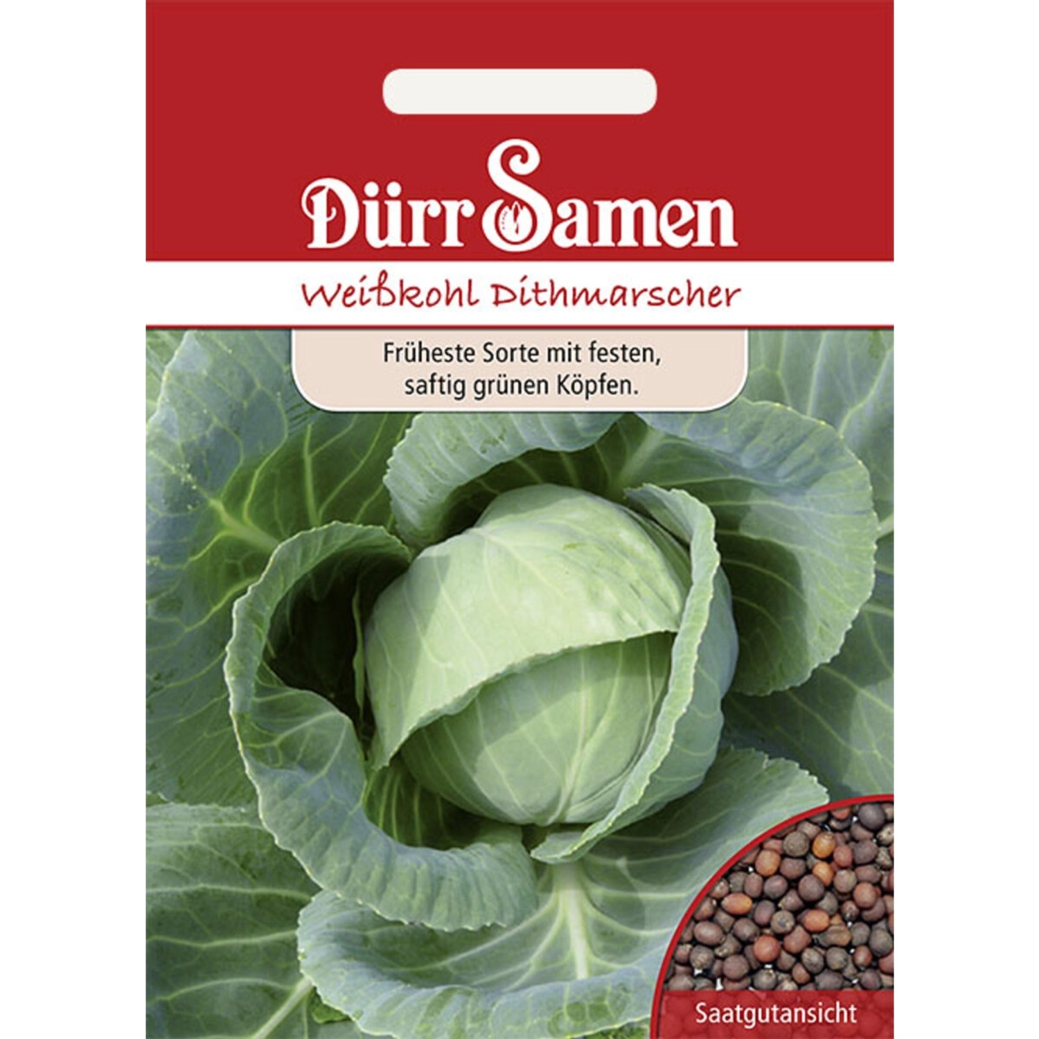 Dürr Samen Weißkohl Dithmarscher Saatgut günstig online kaufen