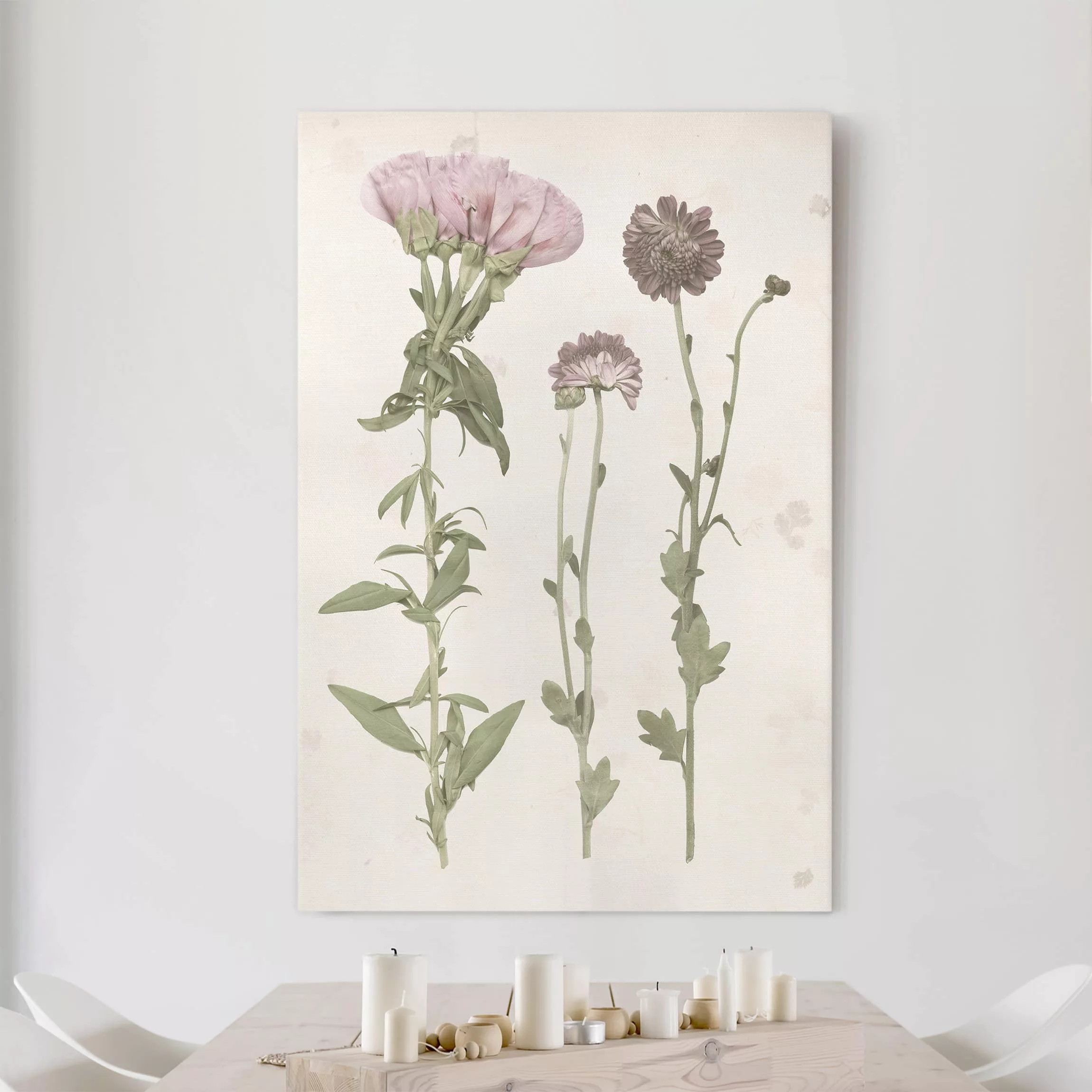 Leinwandbild Botanik - Hochformat Herbarium in rosa III günstig online kaufen