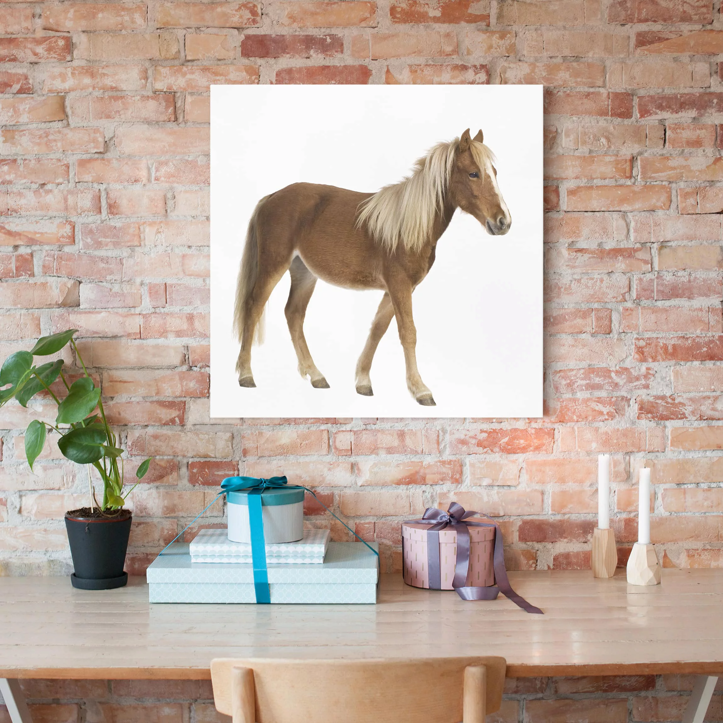 Leinwandbild Pferd - Quadrat Pony günstig online kaufen