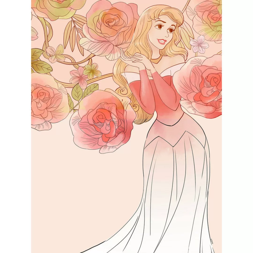 Komar Wandbild Sleeping Beauty Roses Disney B/L: ca. 30x40 cm günstig online kaufen
