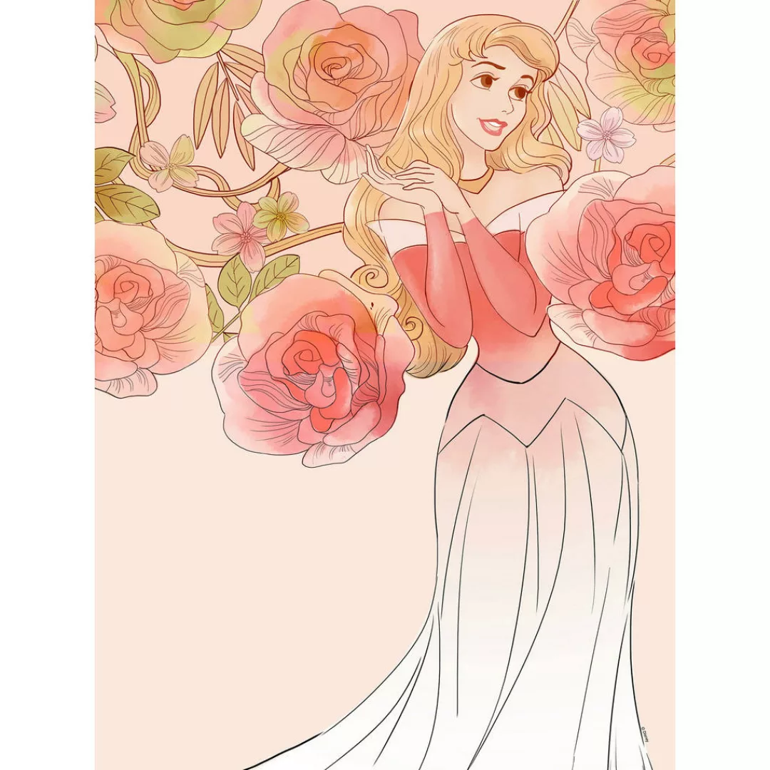 Komar Poster Sleeping Beauty Roses Disney B/L: ca. 30x40 cm günstig online kaufen