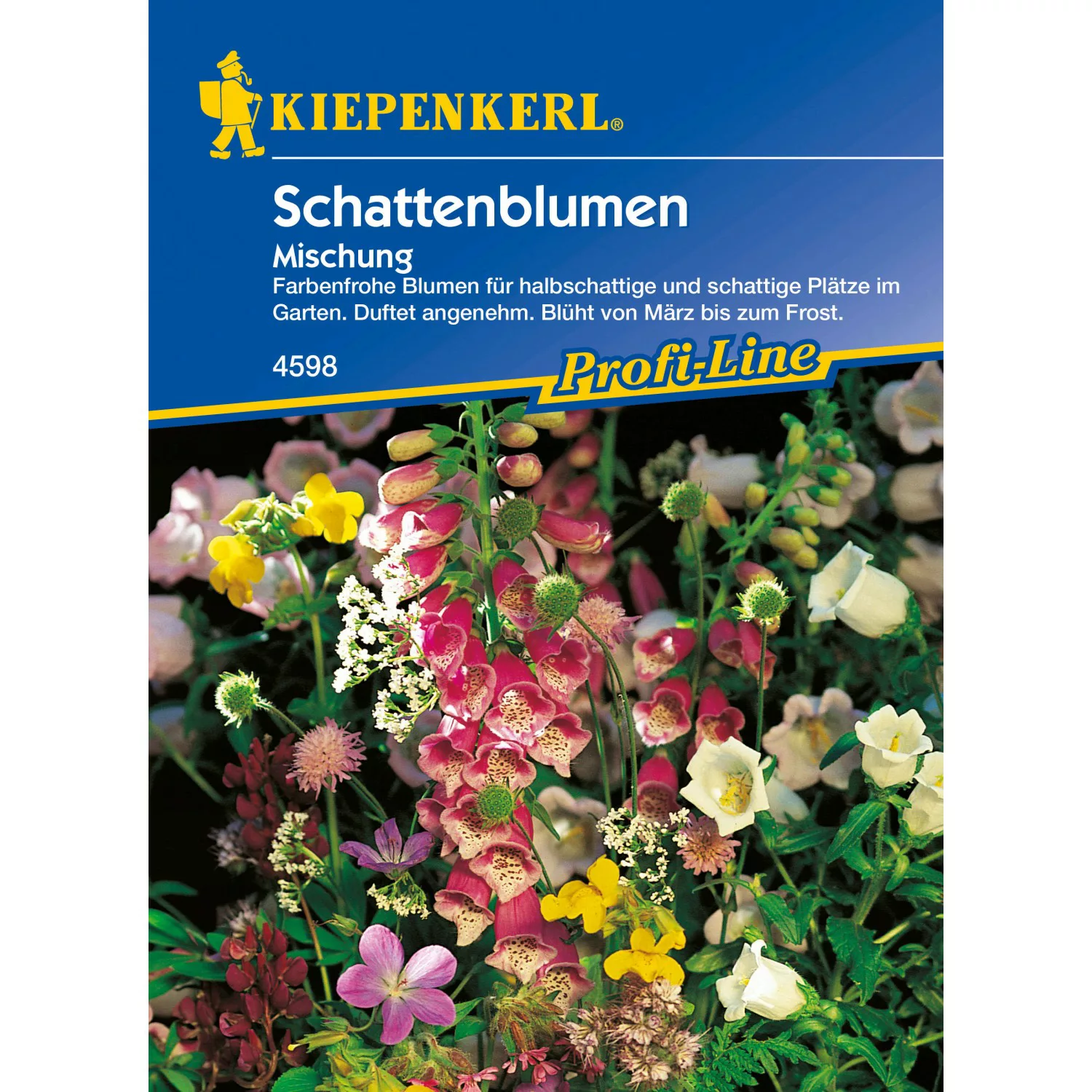 Schattenblumen Mischung günstig online kaufen