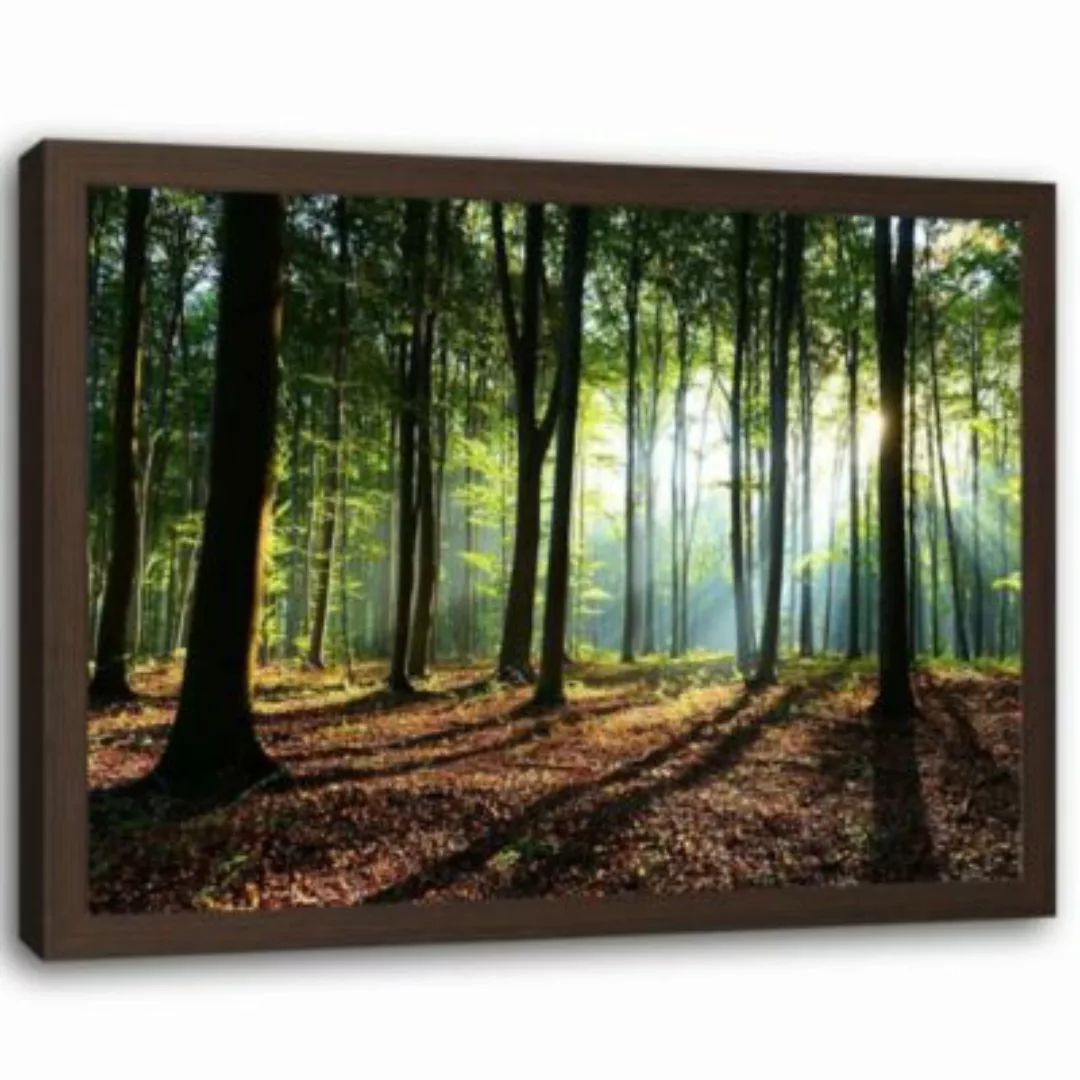 FEEBY® Kunst Green Forest Leinwandbilder bunt Gr. 60 x 40 günstig online kaufen