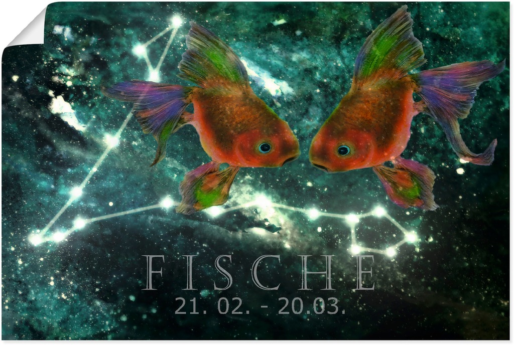 Artland Wandbild "Sternzeichen - Fische", Bilder von Sternzeichen, (1 St.), günstig online kaufen