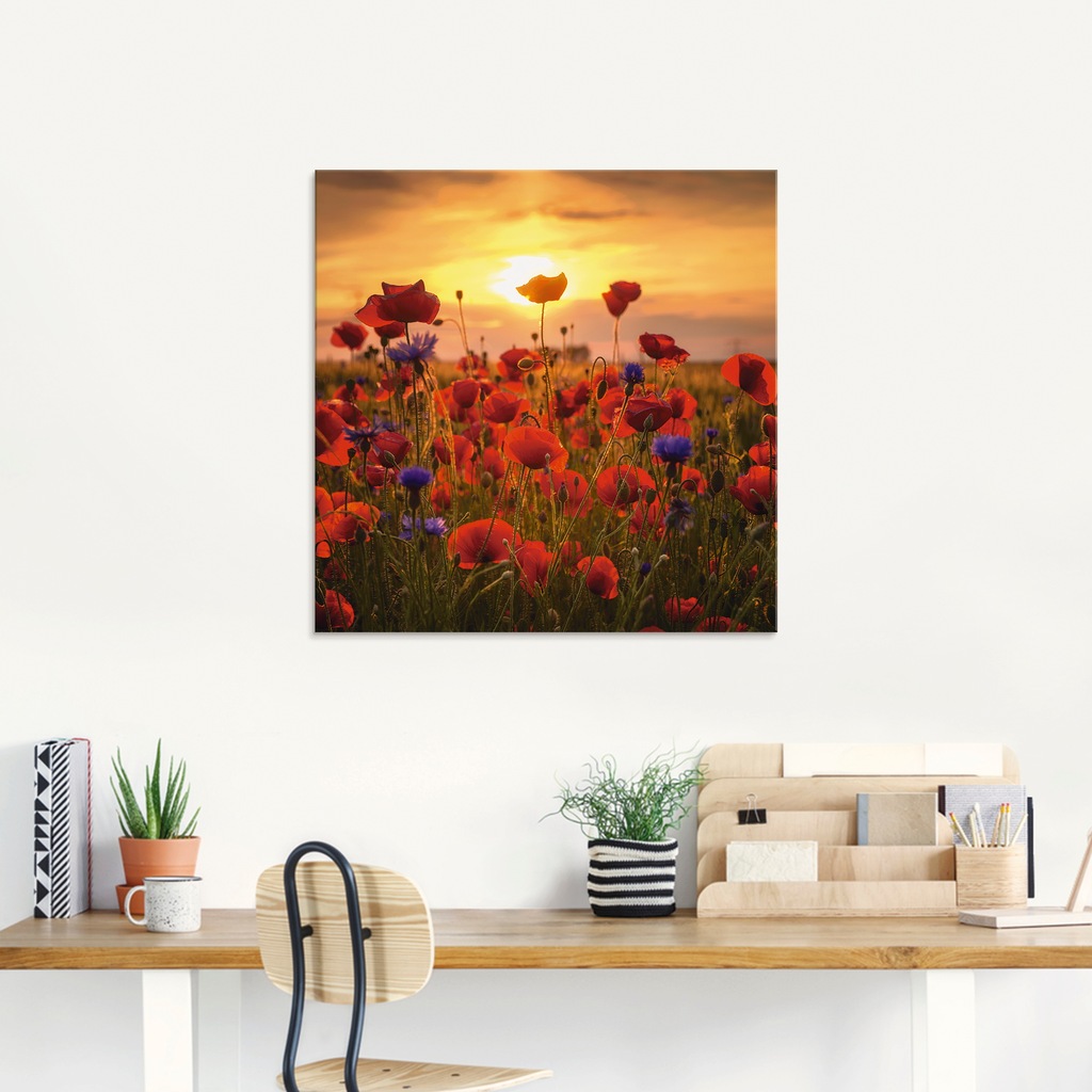 Artland Glasbild "Mohnblumen im Abendlicht", Blumen, (1 St.), in verschiede günstig online kaufen