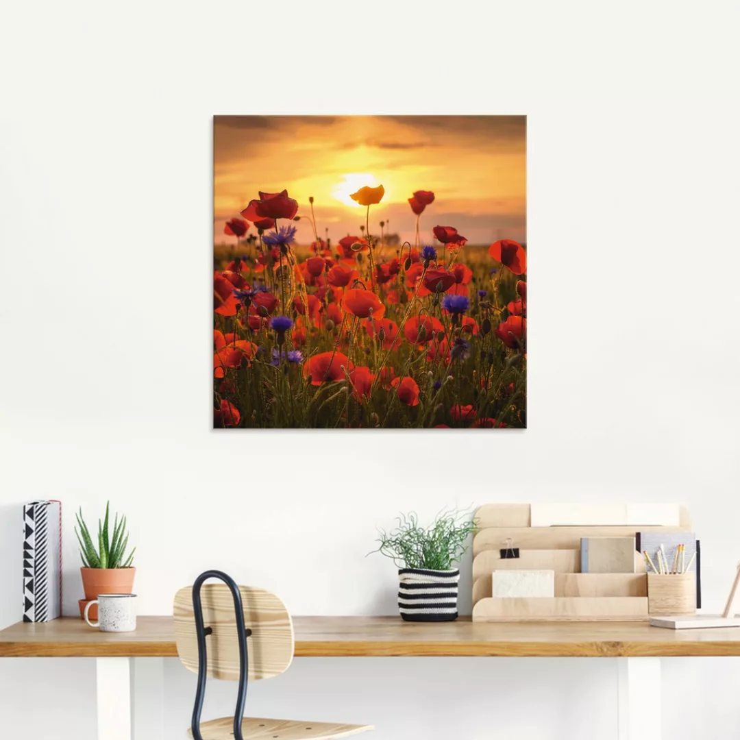 Artland Glasbild »Mohnblumen im Abendlicht«, Blumen, (1 St.), in verschiede günstig online kaufen