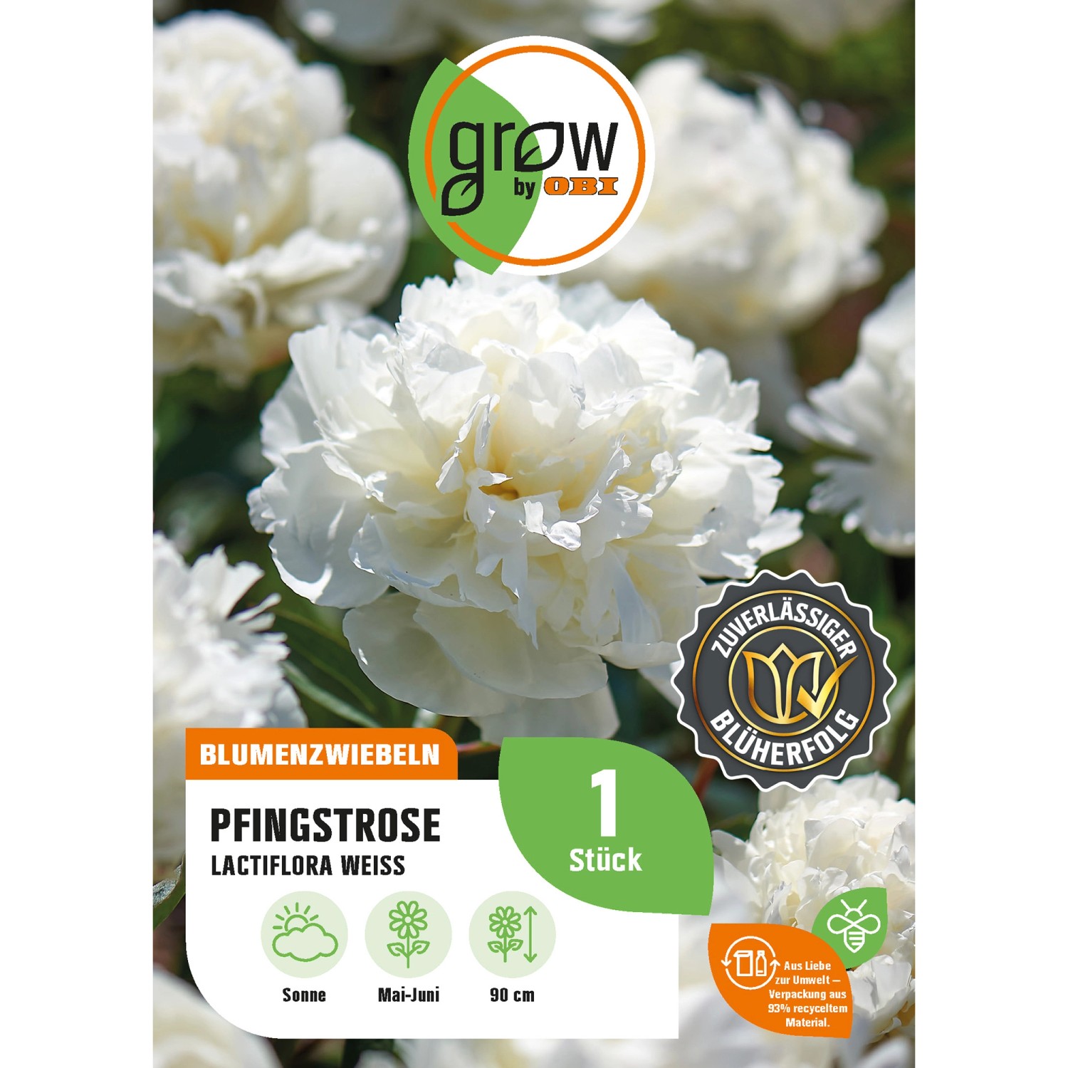 GROW by OBI Pfingstrose Lactiflora Weiss Höhe ca. 80 cm Paeonia lactiflora günstig online kaufen