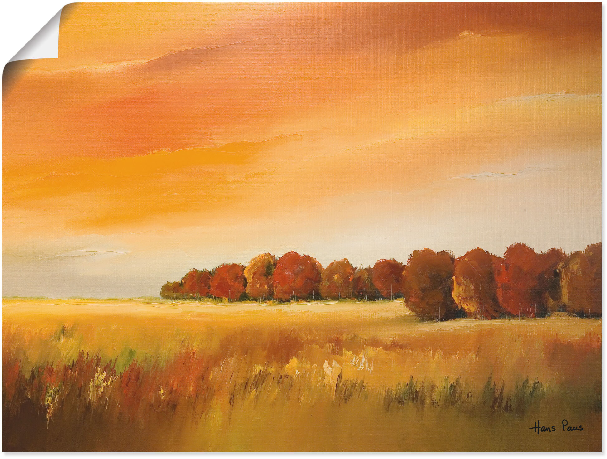 Artland Poster "Herbst", Felder, (1 St.), als Leinwandbild, Wandaufkleber o günstig online kaufen